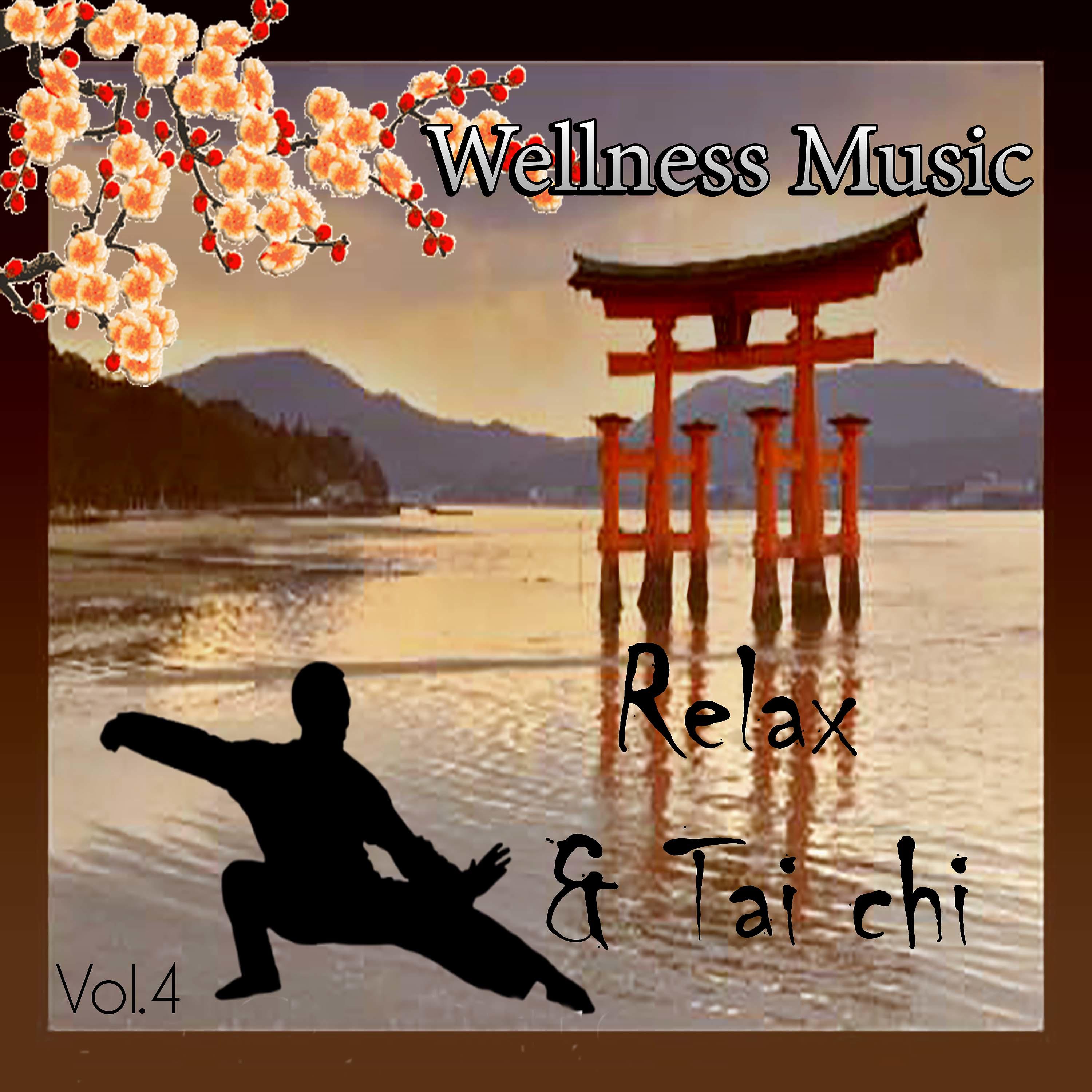 Постер альбома Wellness Music - Relax & Tai Chi, Vol. 4