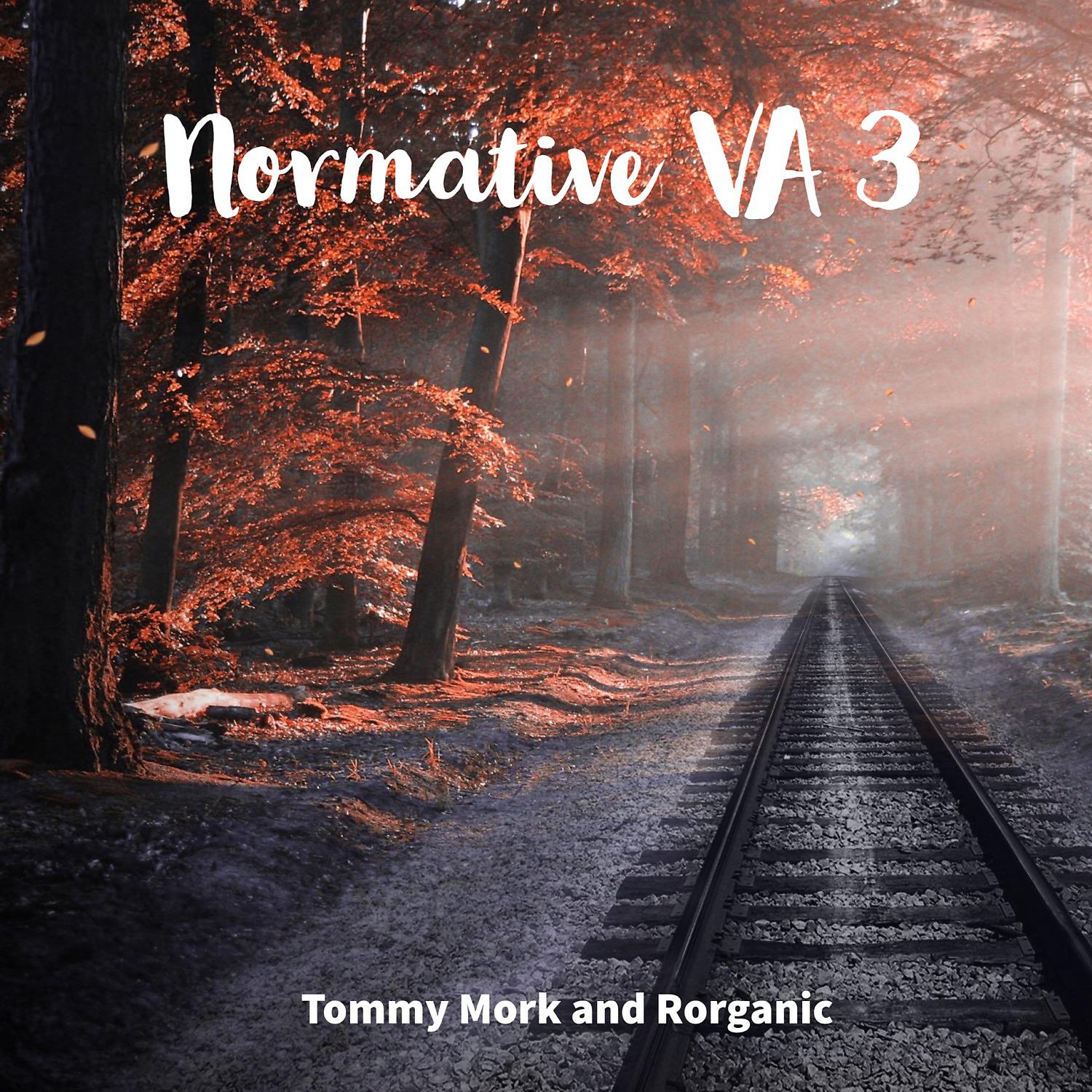 Постер альбома Normative VA 3