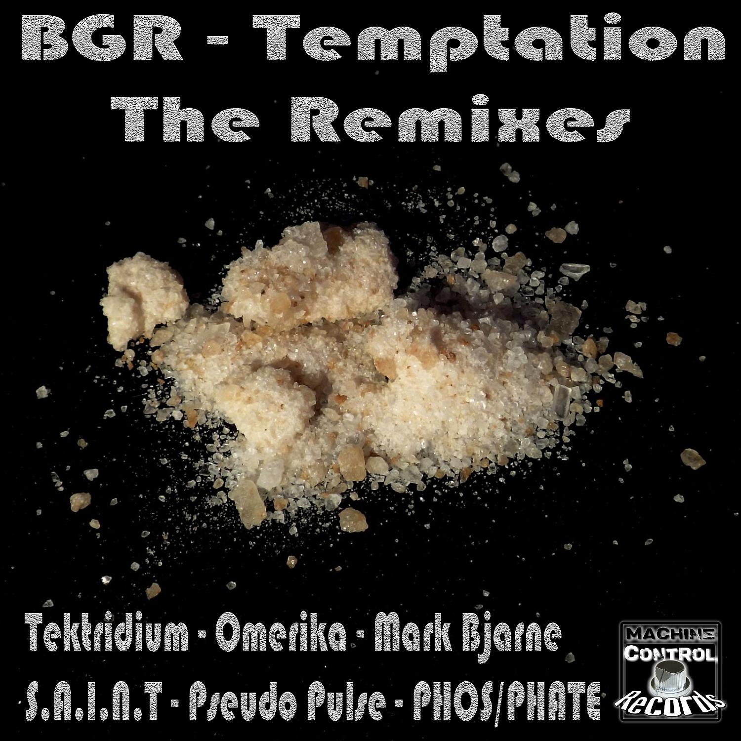 Постер альбома Temptation (The Remixes)