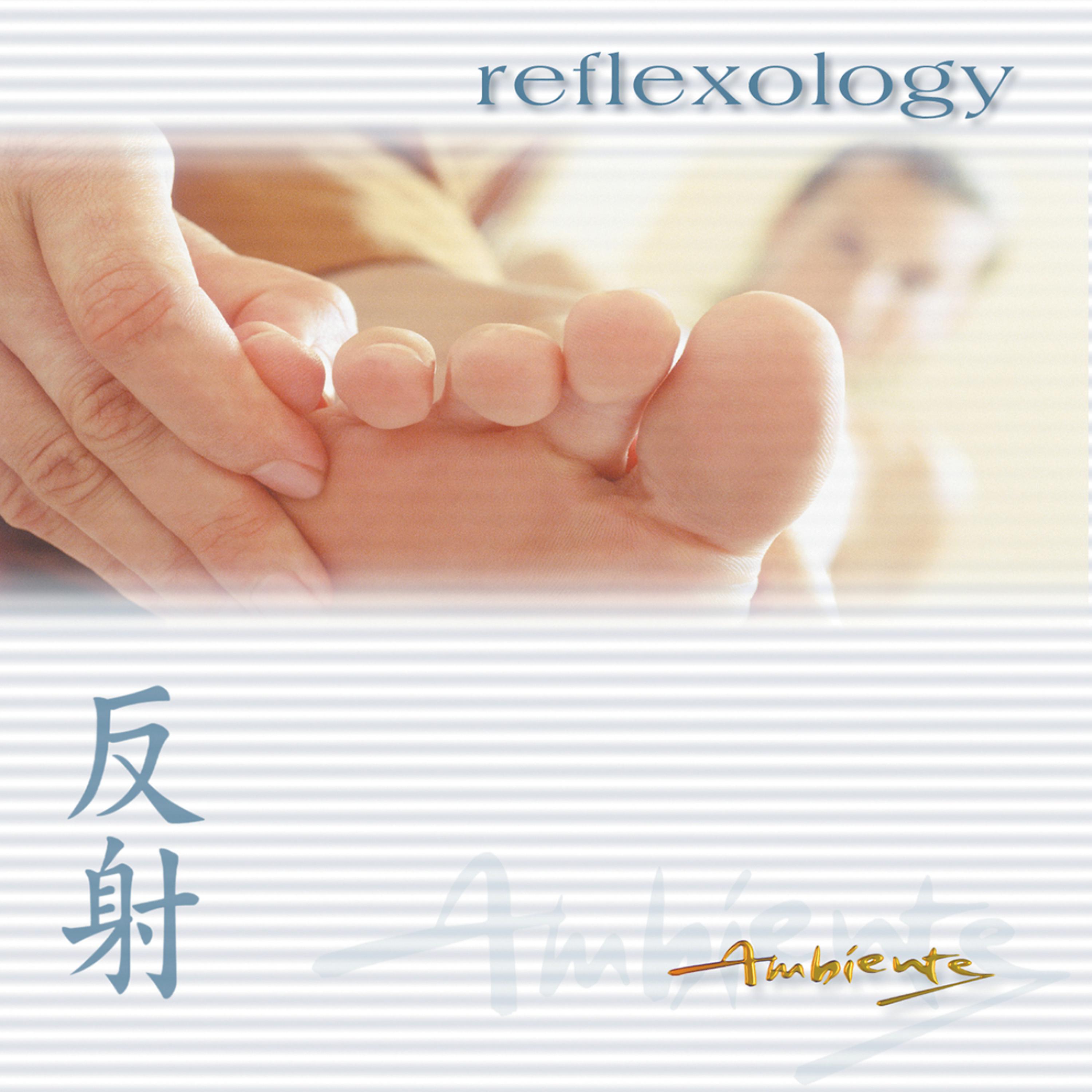 Постер альбома Ambiente: Reflexology