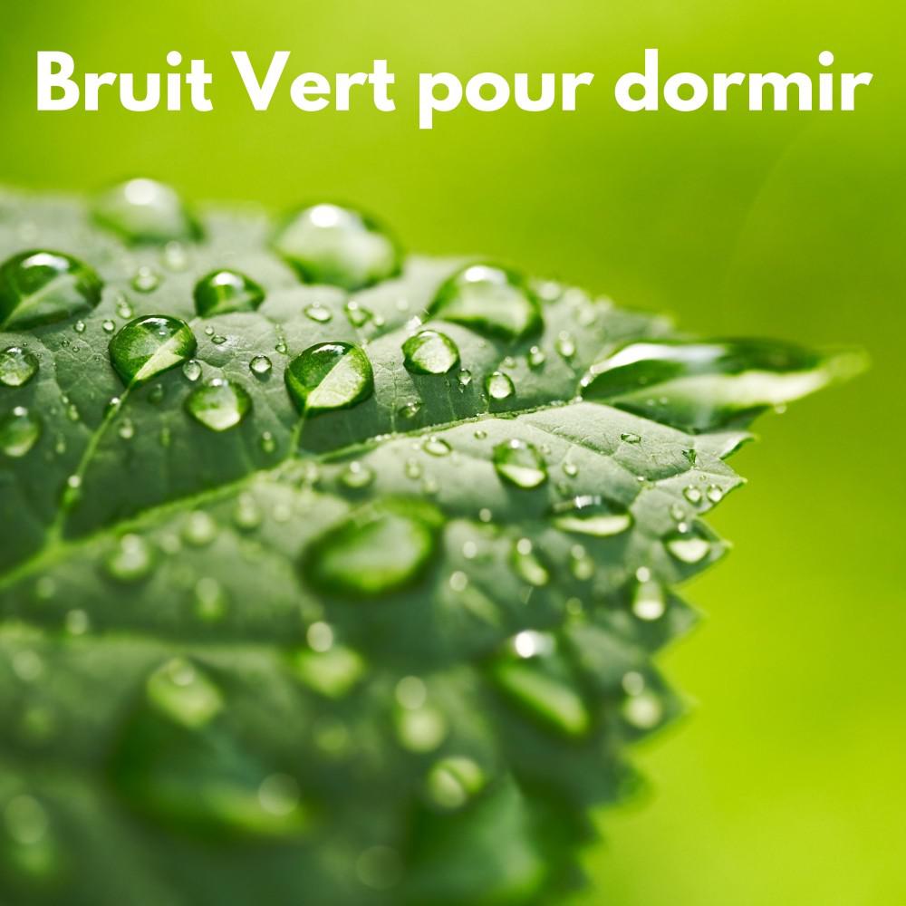 Постер альбома Bruit vert pour dormir (Bouclable)
