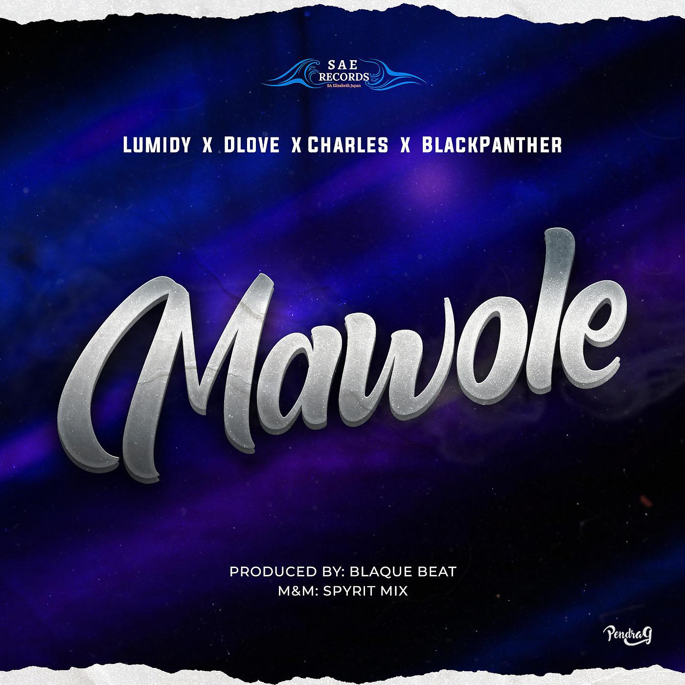 Постер альбома Mawole