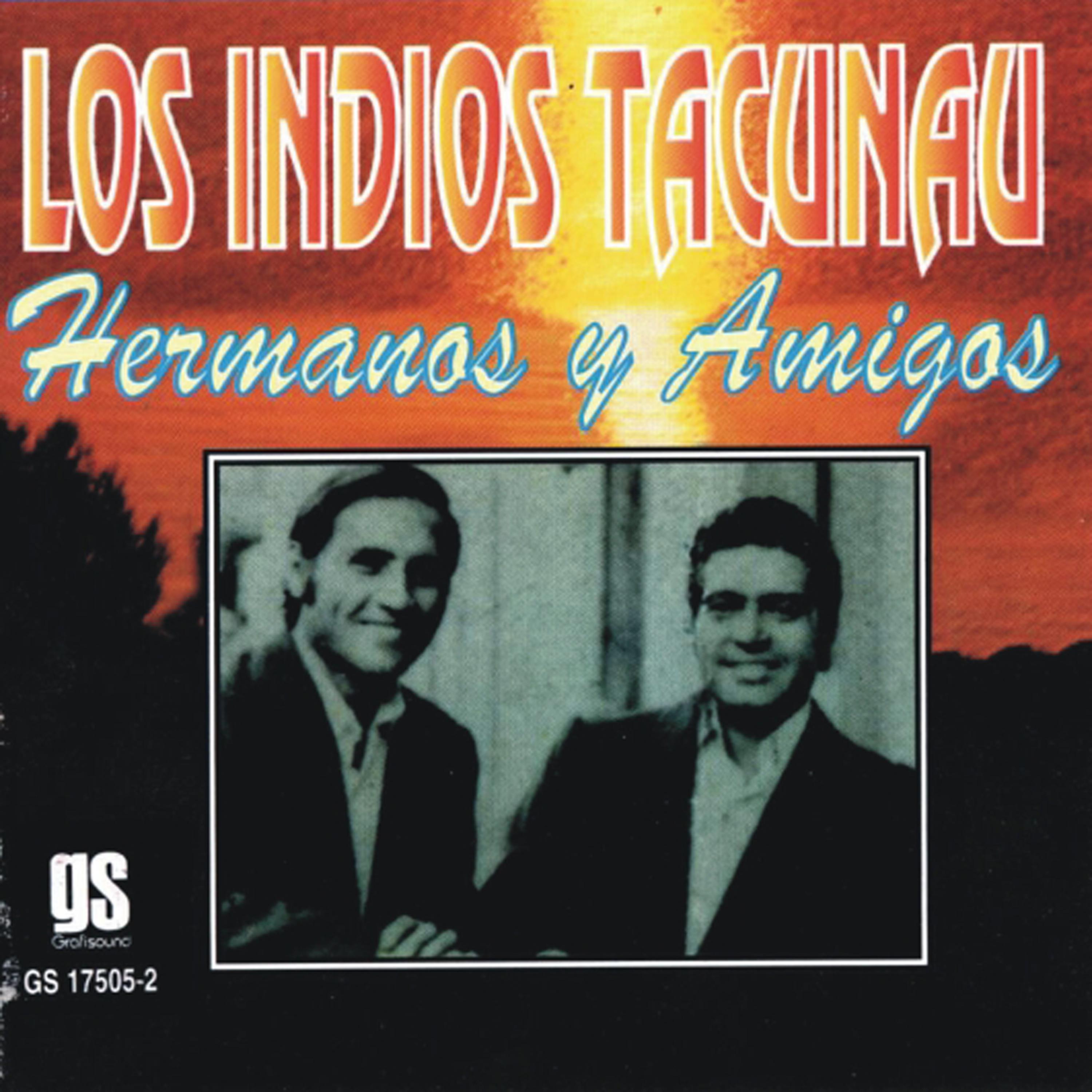 Постер альбома Hermanos Y Amigos