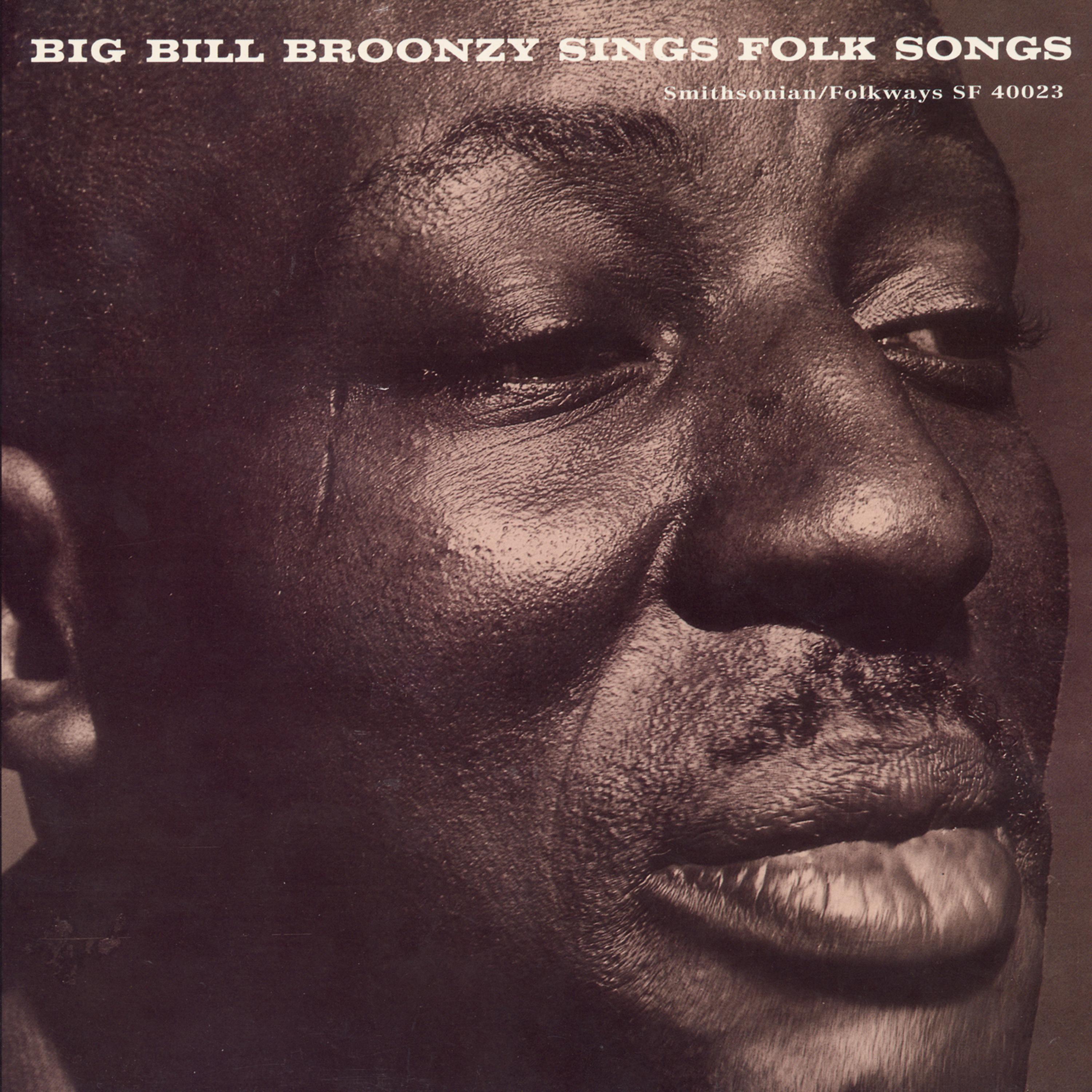 Постер альбома Big Bill Broonzy Sings Folk Songs