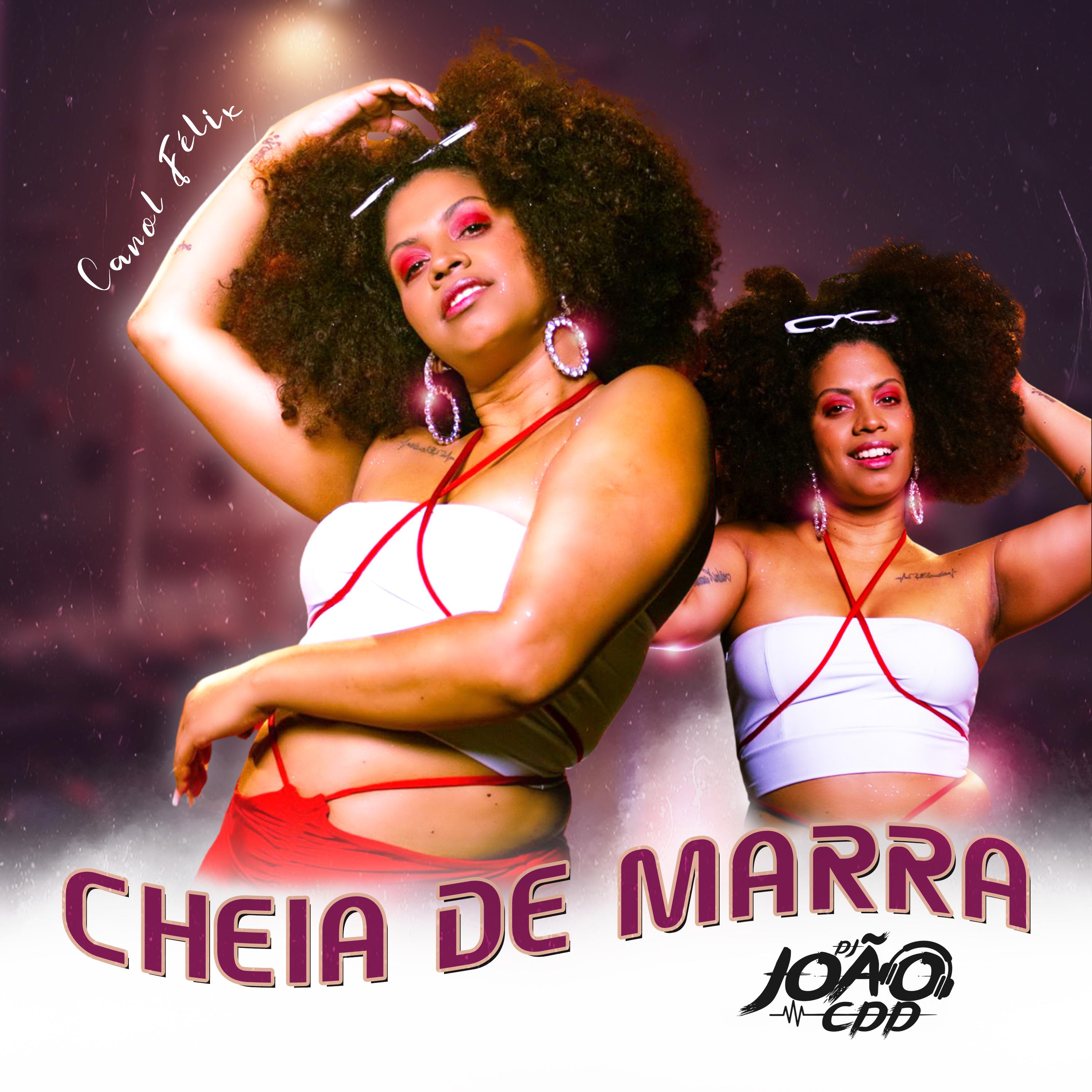 Постер альбома Cheia de Marra