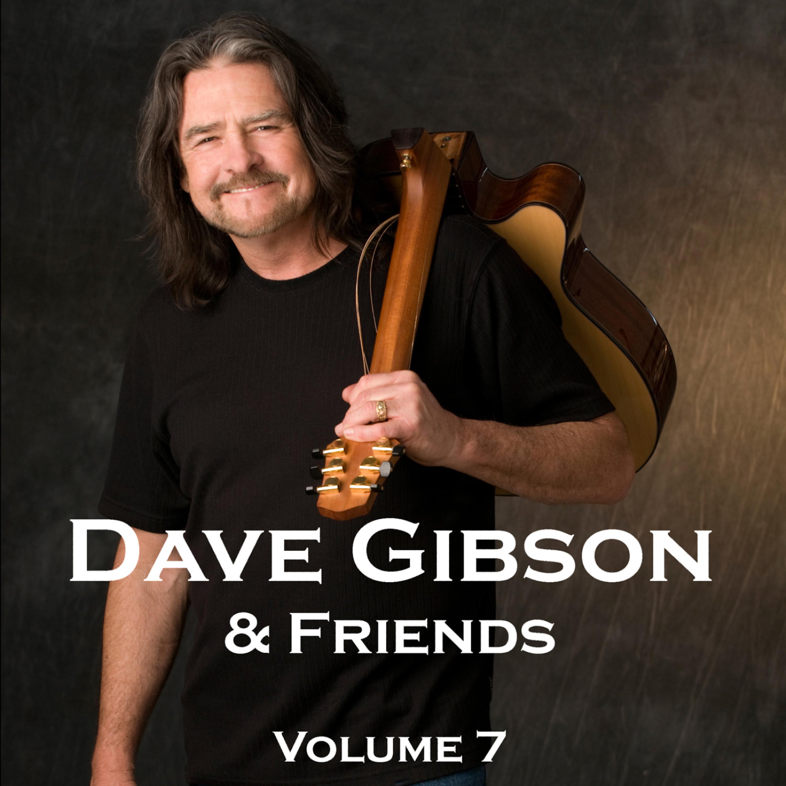 Постер альбома Dave Gibson & Friends, Volume 7