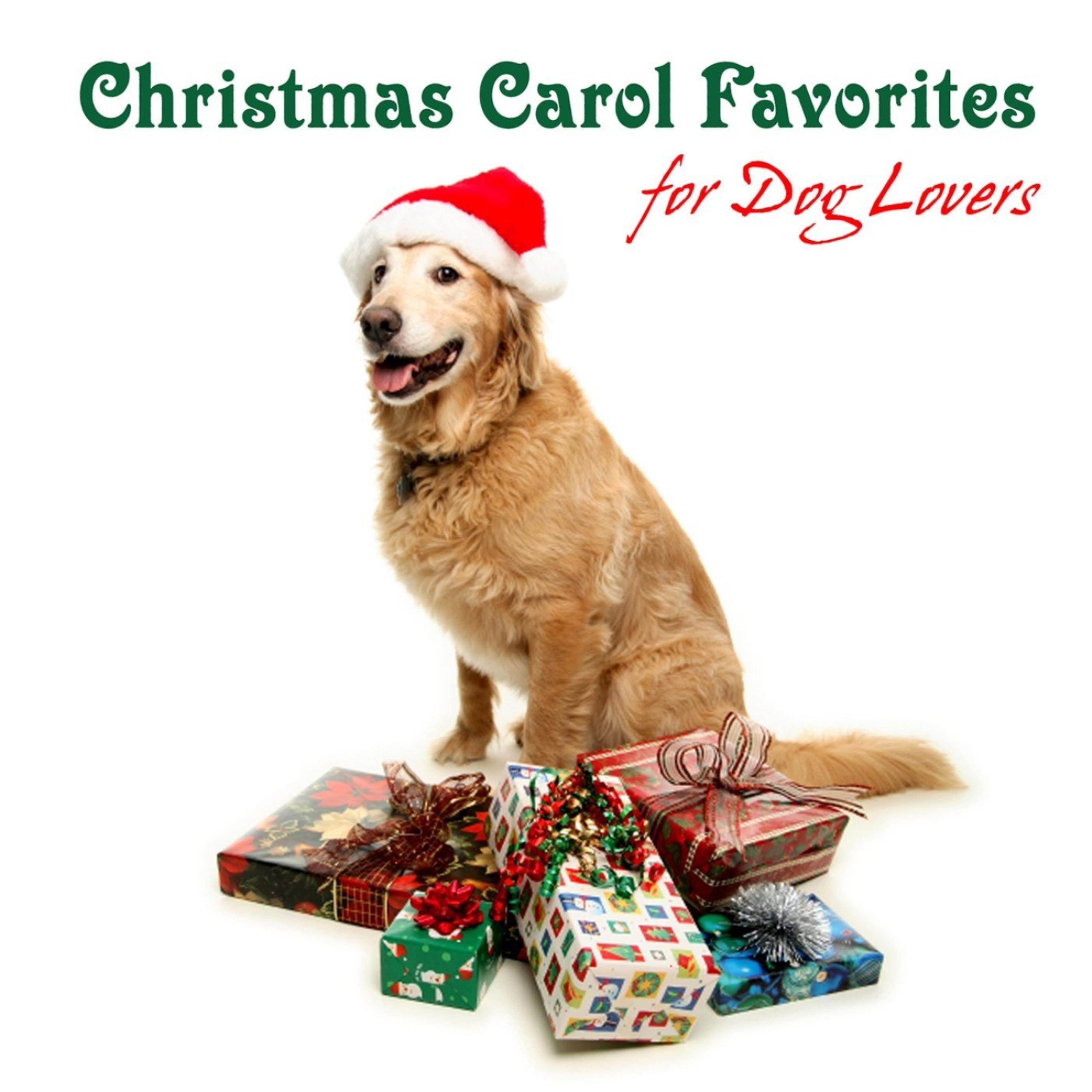Постер альбома Christmas Carol Favorites for Dog Lovers