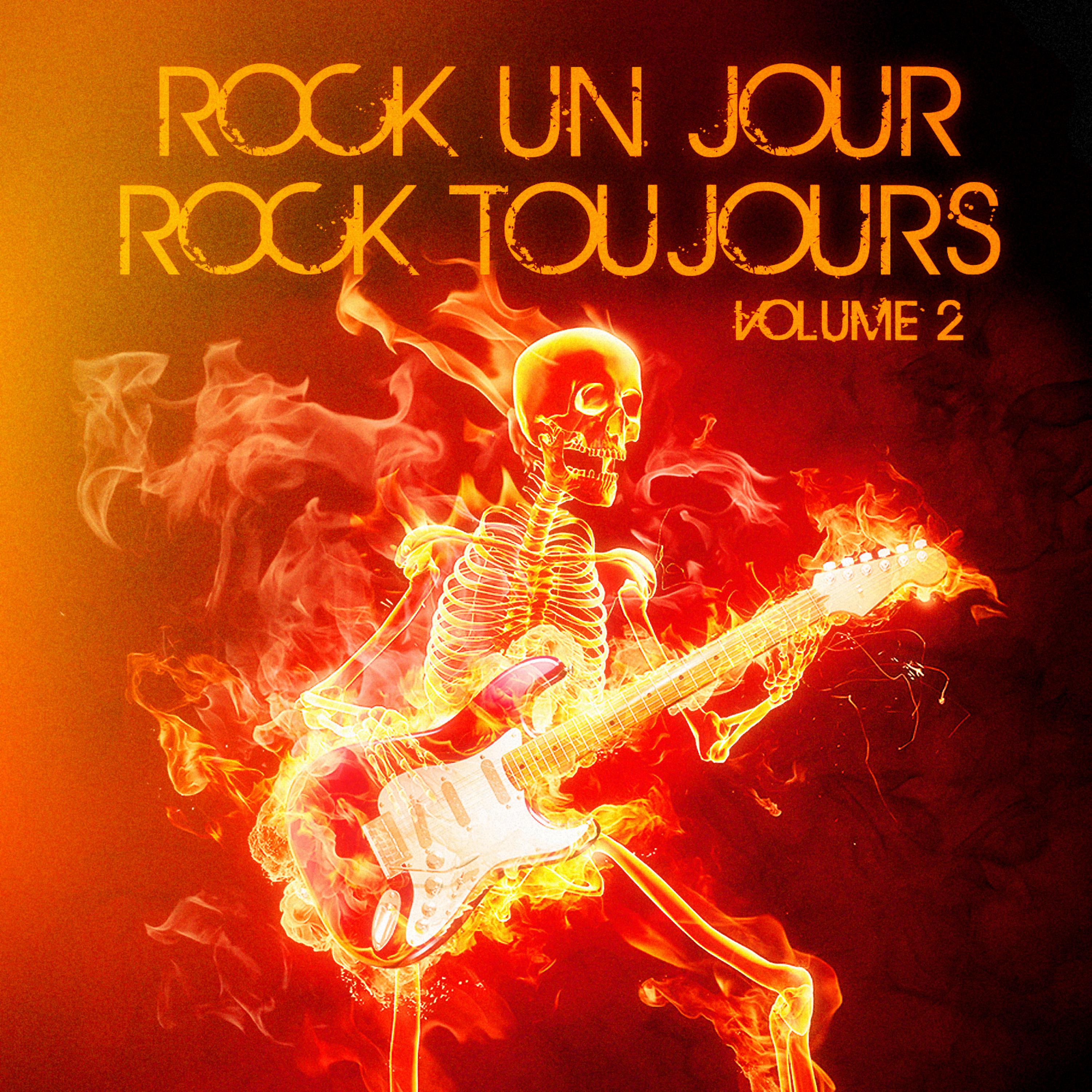 Постер альбома Rock un jour, Rock toujours, Vol. 2