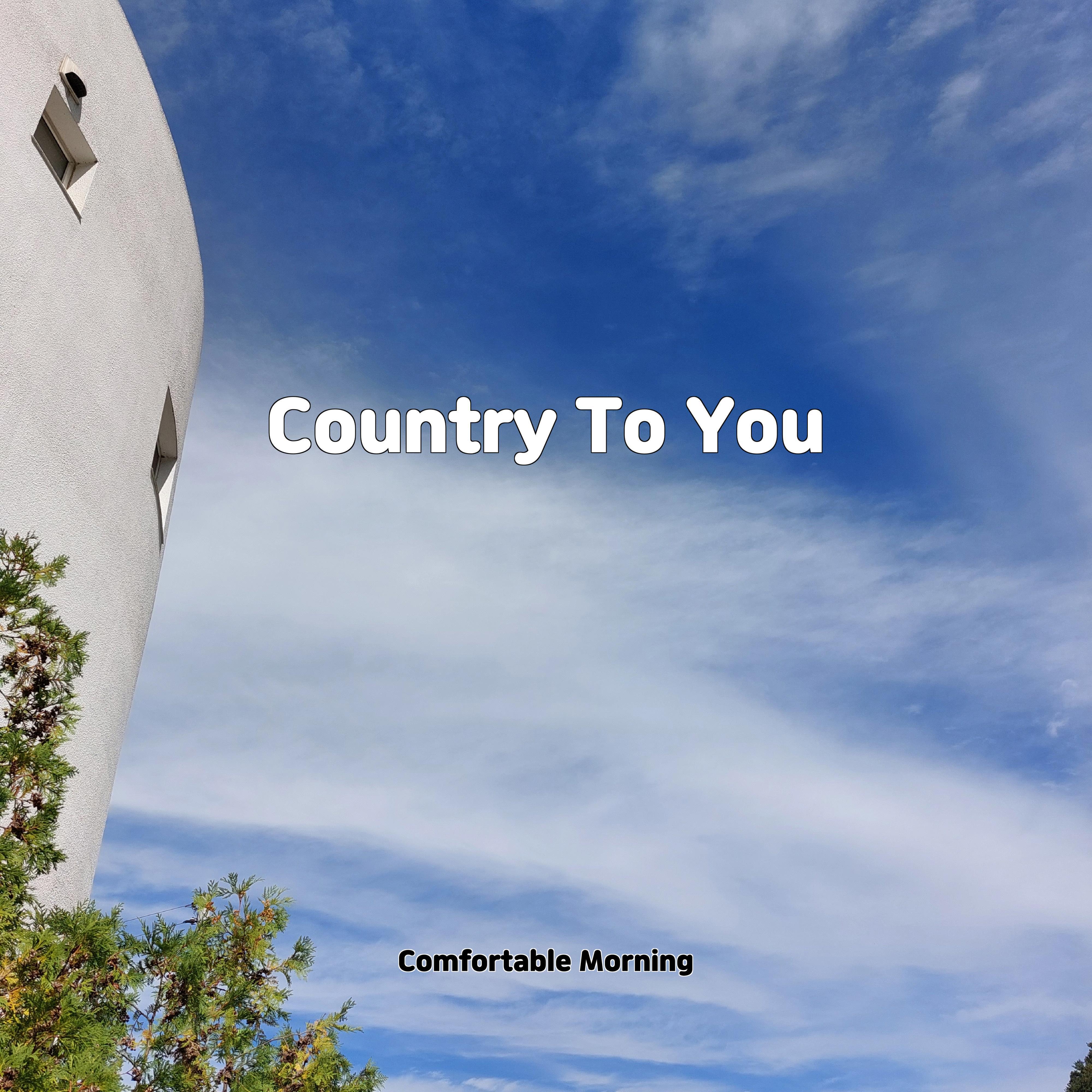 Постер альбома Country To You