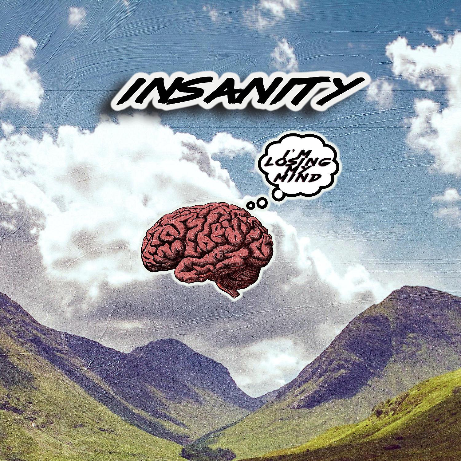 Постер альбома Insanity (feat. Size Killa)