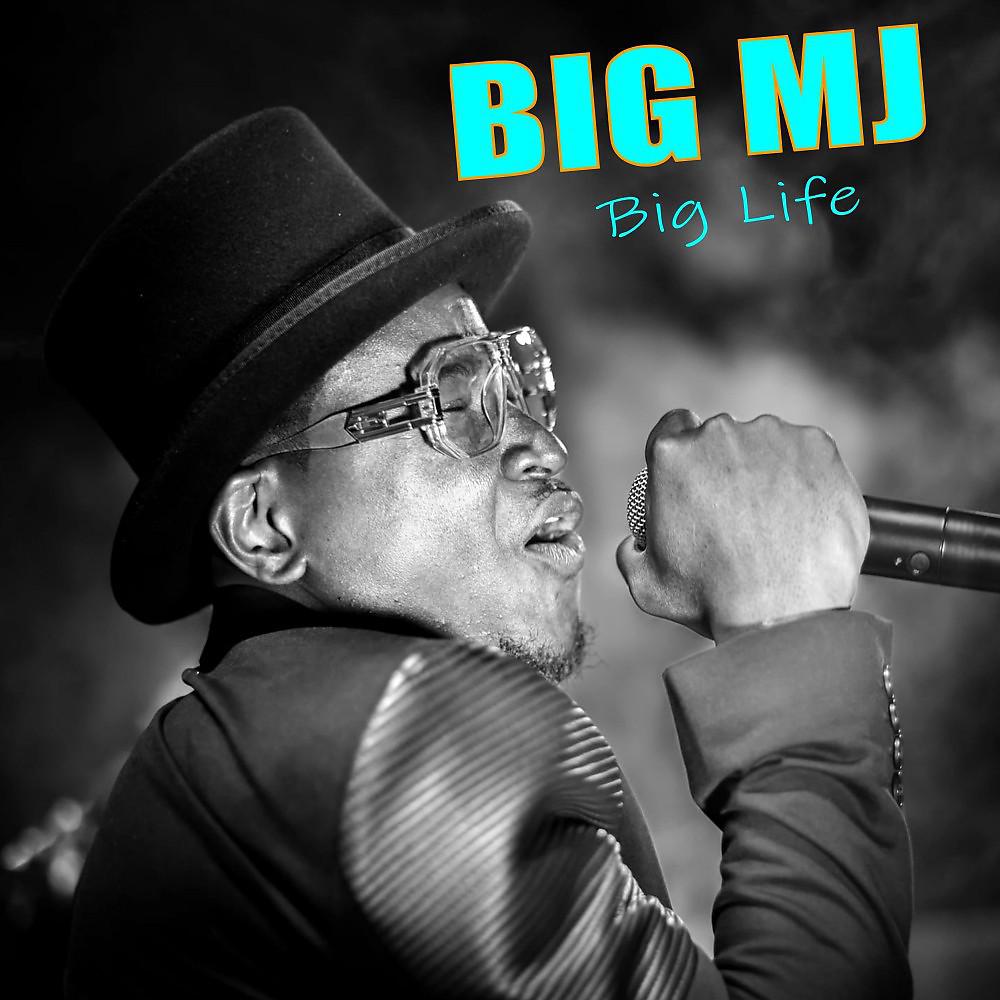 Постер альбома Big Life