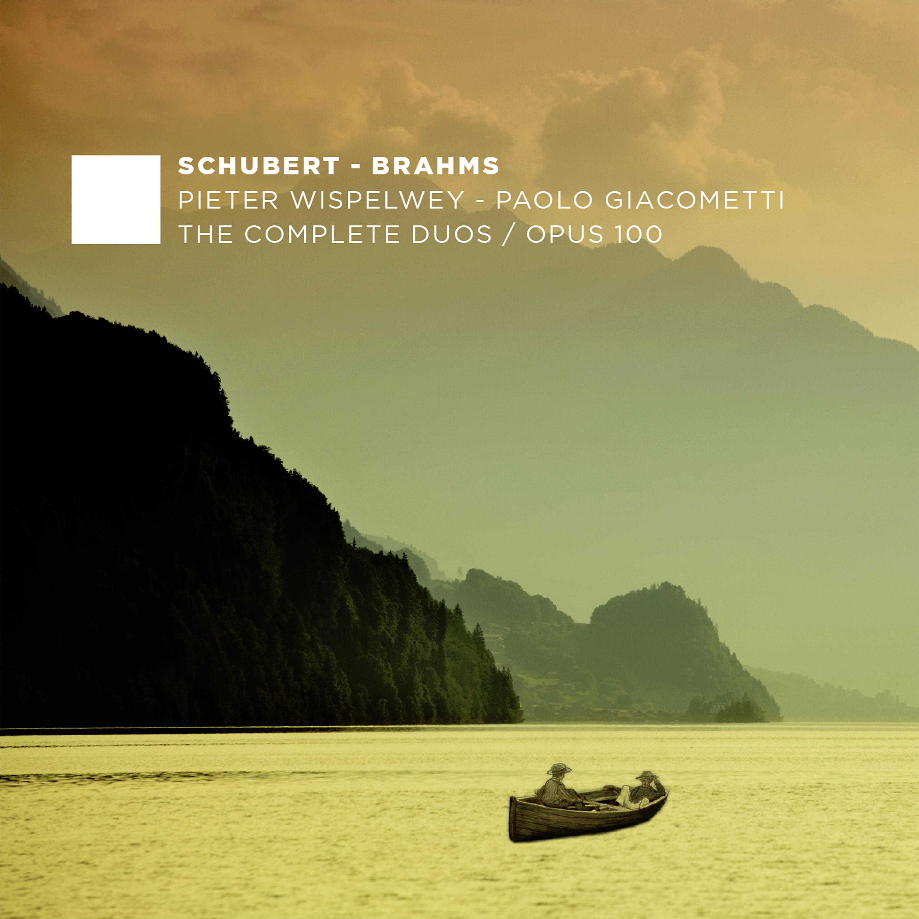 Постер альбома F. Schubert, J. Brahms: The Complete Duos - Opus 100