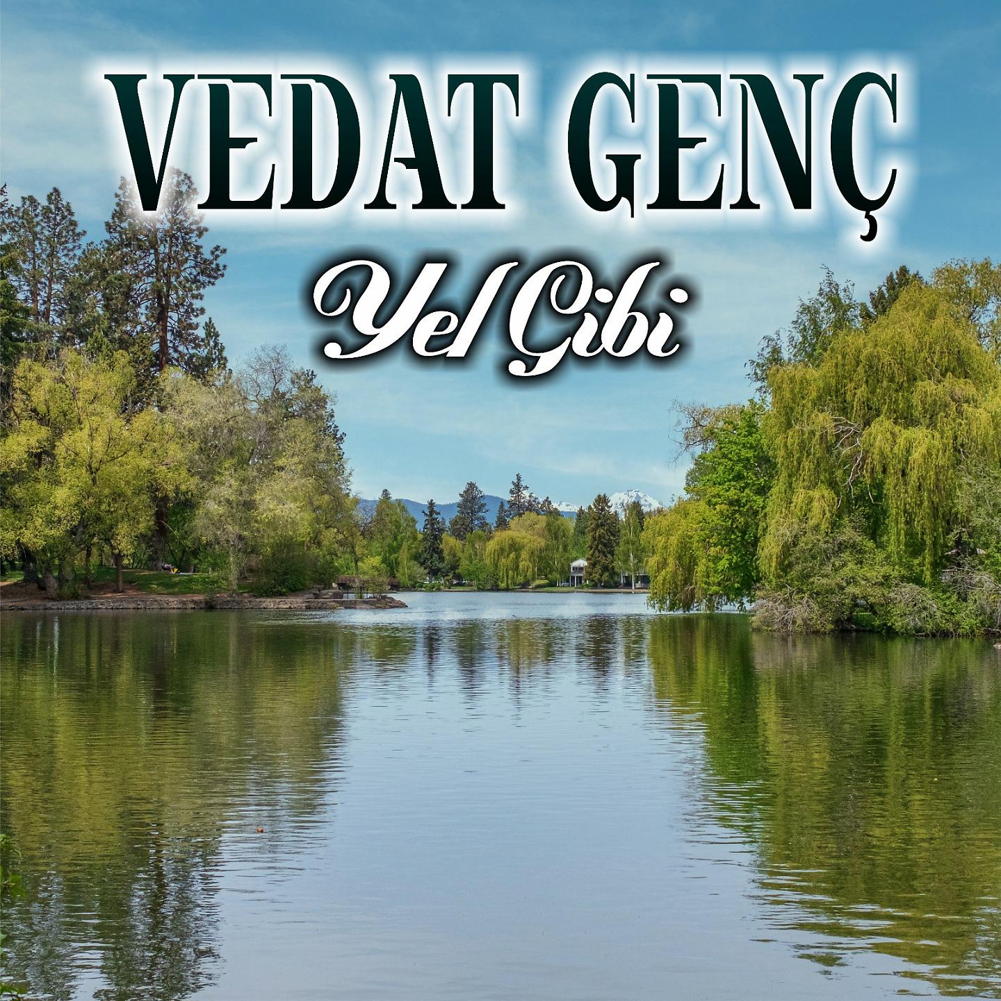 Постер альбома Yel Gibi