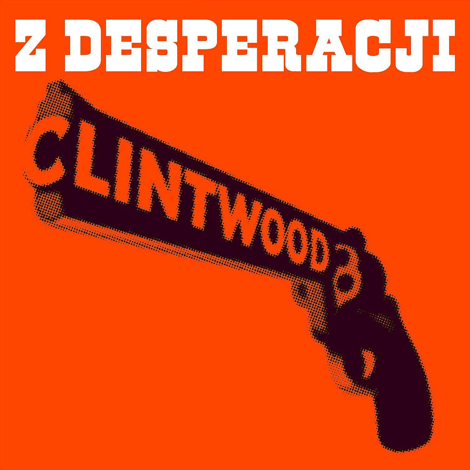 Постер альбома Z Desperacji