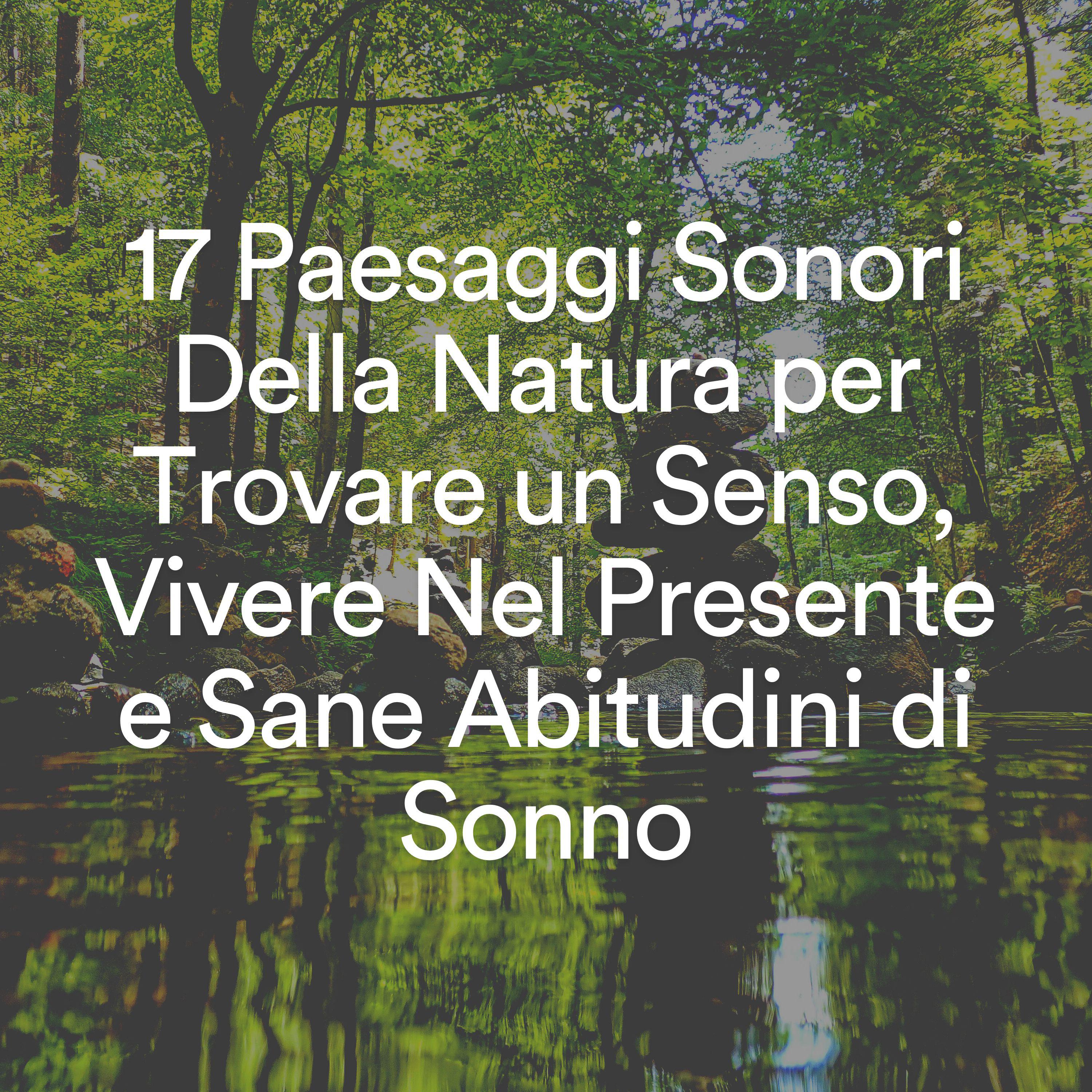 Постер альбома 17 Paesaggi Sonori Della Natura per Trovare un Senso, Vivere Nel Presente e Sane Abitudini di Sonno