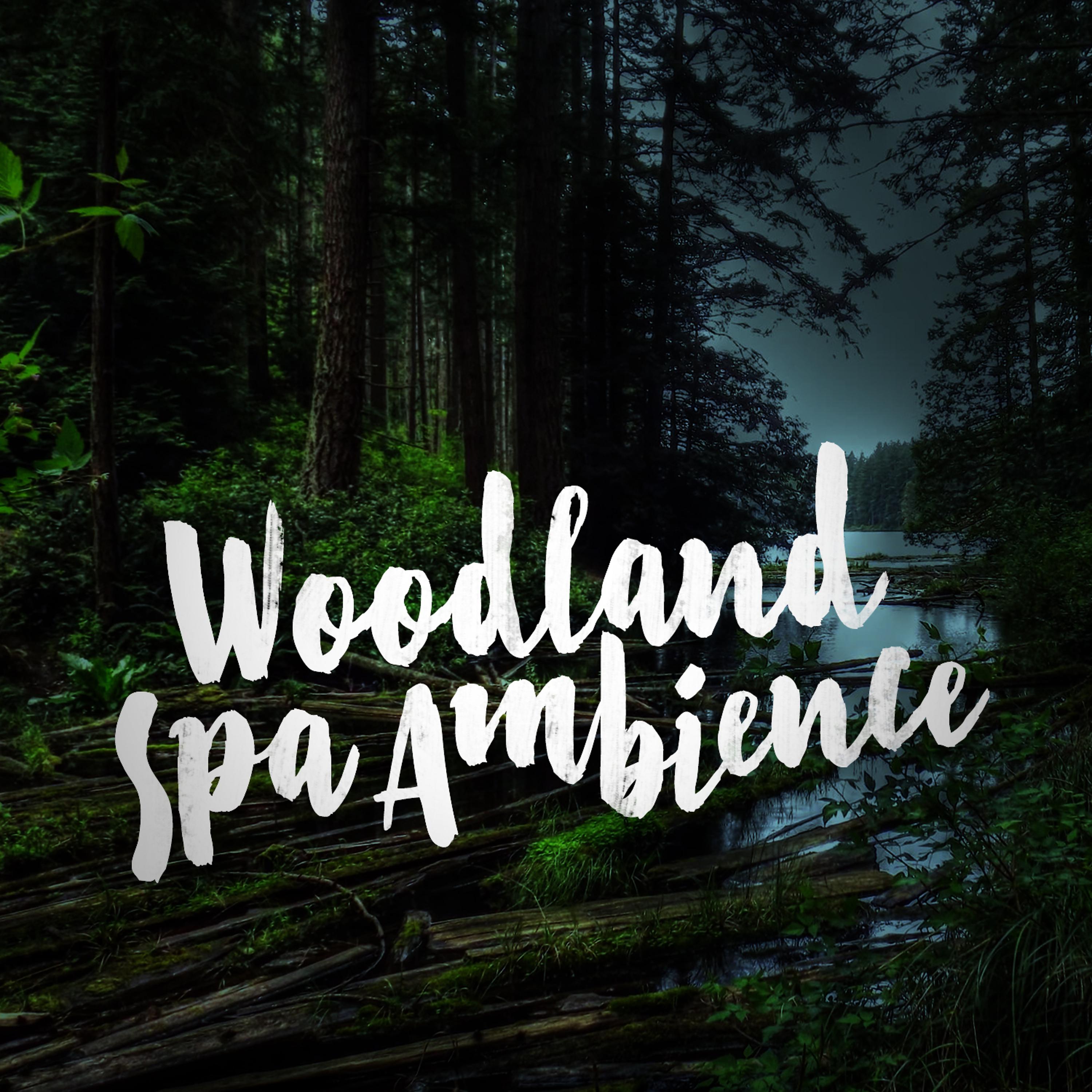 Постер альбома Woodland Spa Ambience