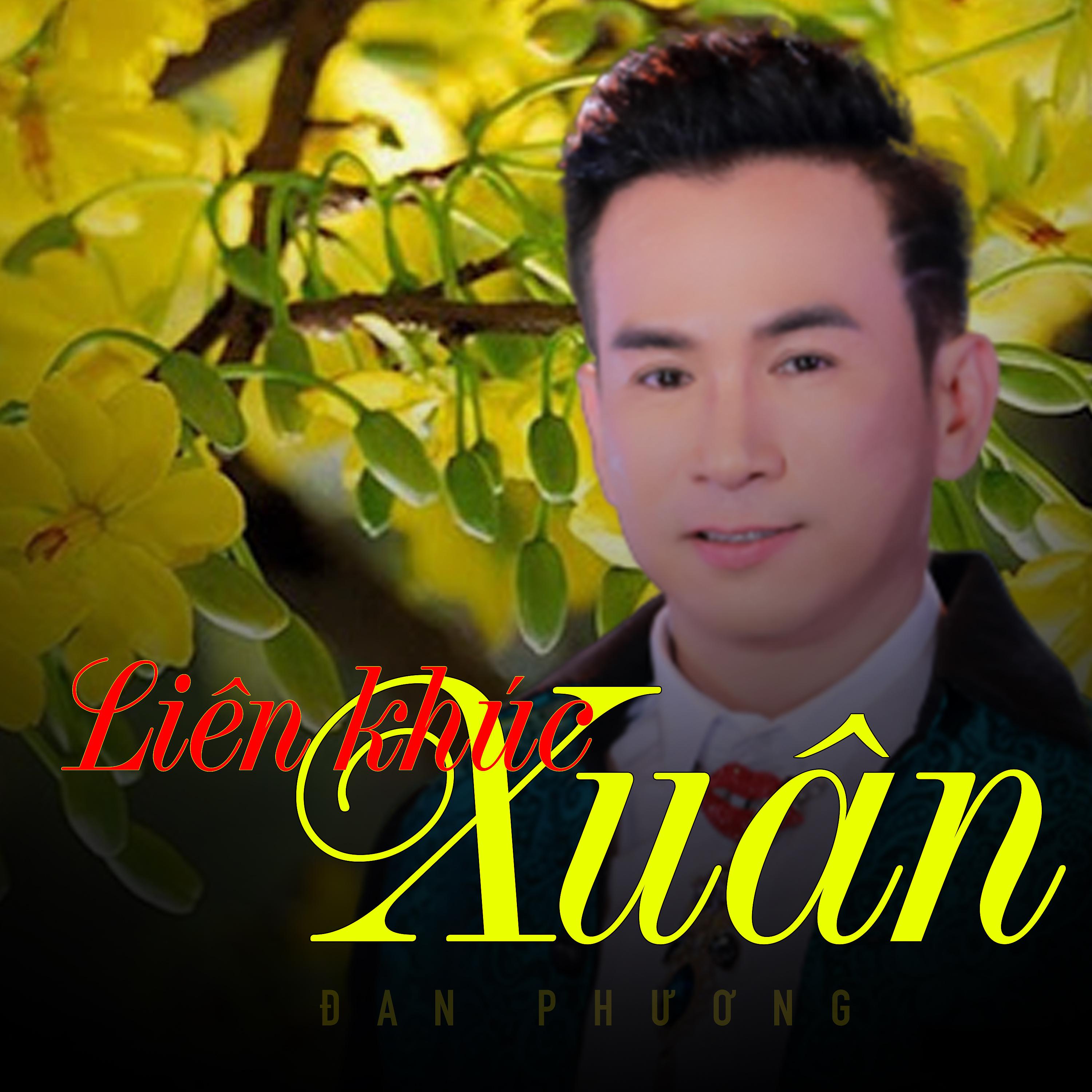 Постер альбома Liên Khúc Xuân