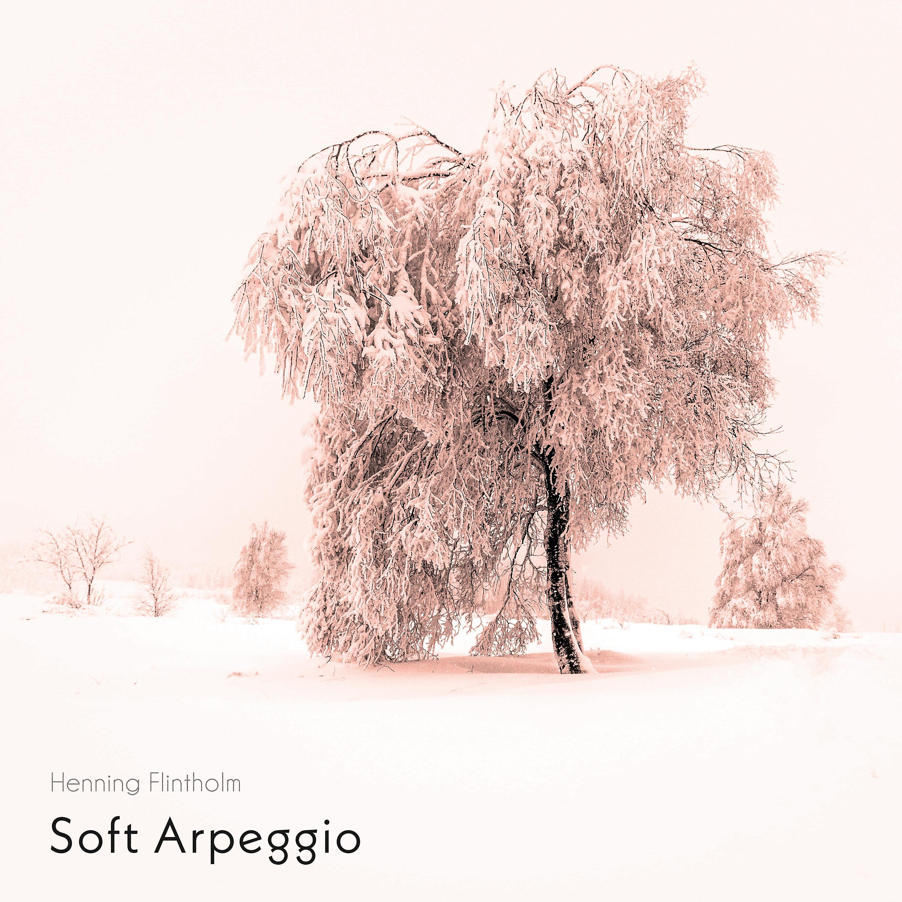 Постер альбома Soft Arpeggio
