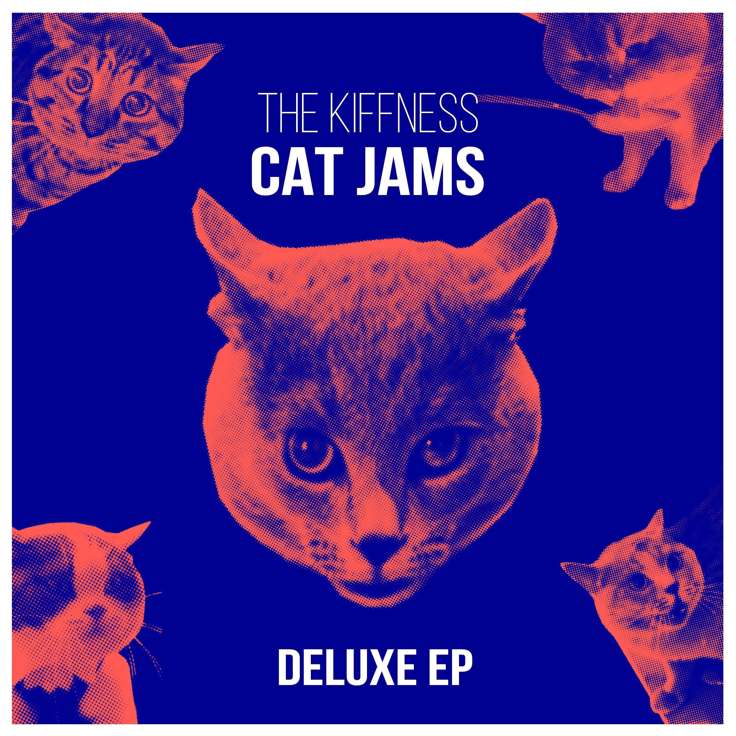 Постер альбома Cat Jams (Deluxe Ep)