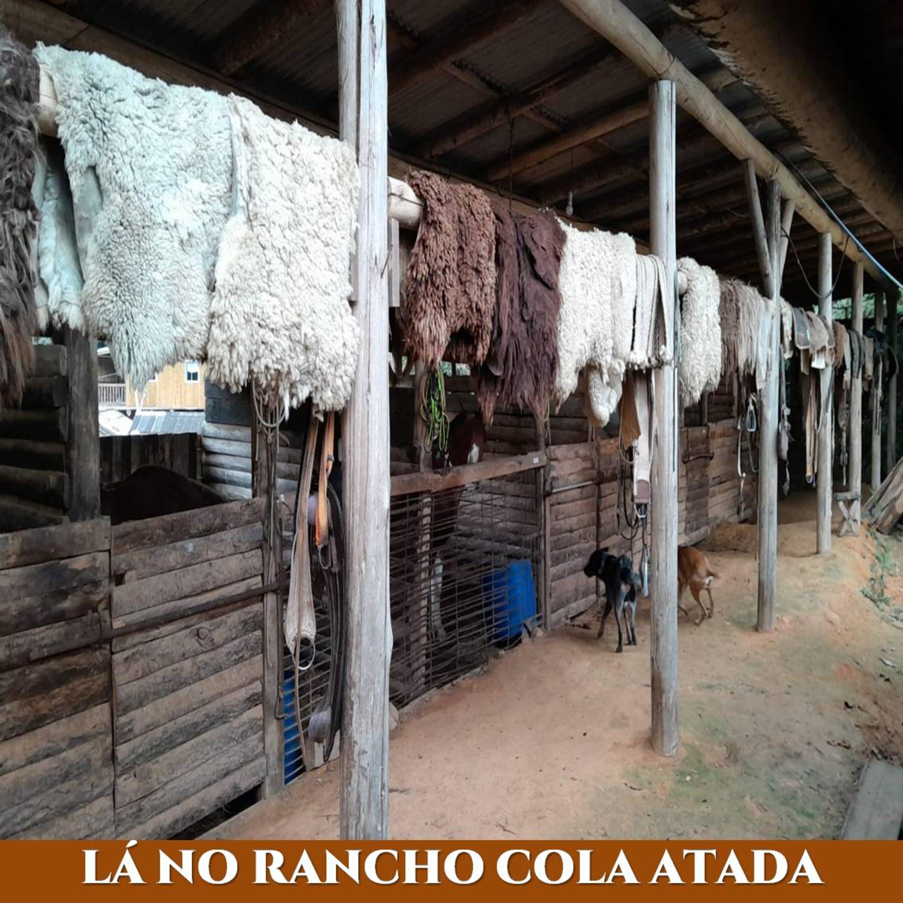Постер альбома Lá no Rancho Cola Atada