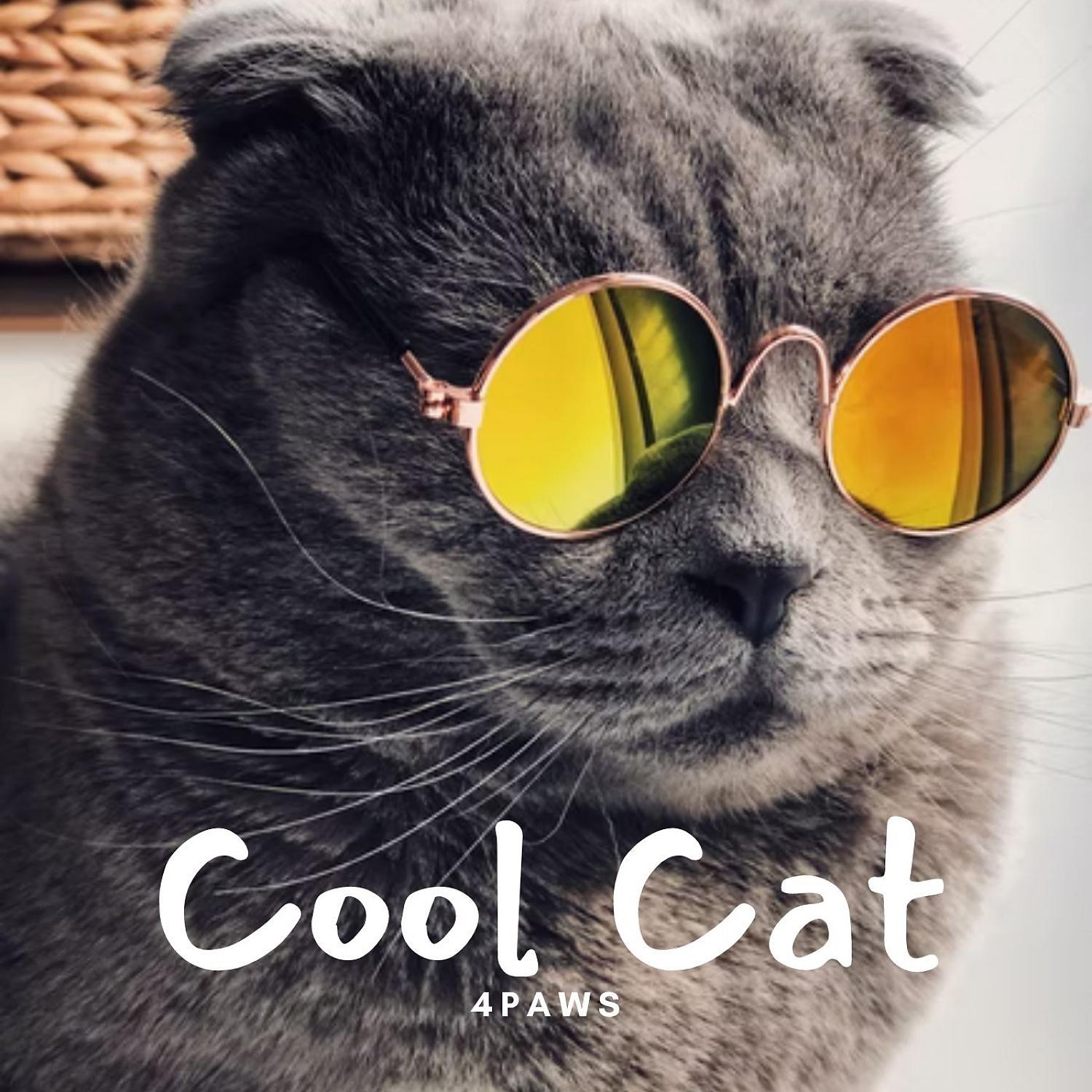 Постер альбома 4Paws: Cool Cat