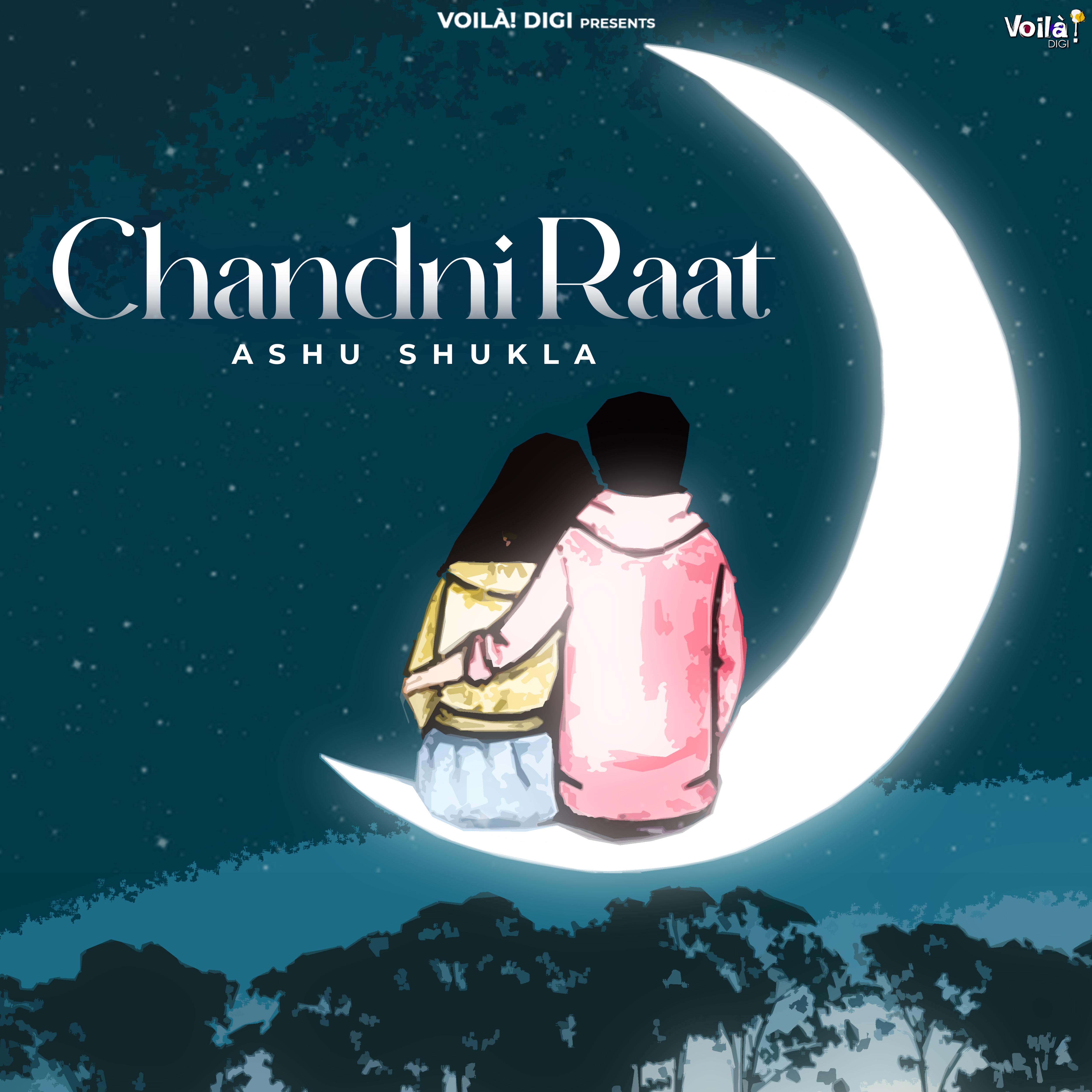 Постер альбома Chandni Raat
