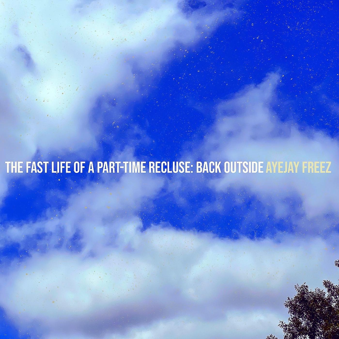 Постер альбома The Fast Life of a Part-Time Recluse: Back Outside