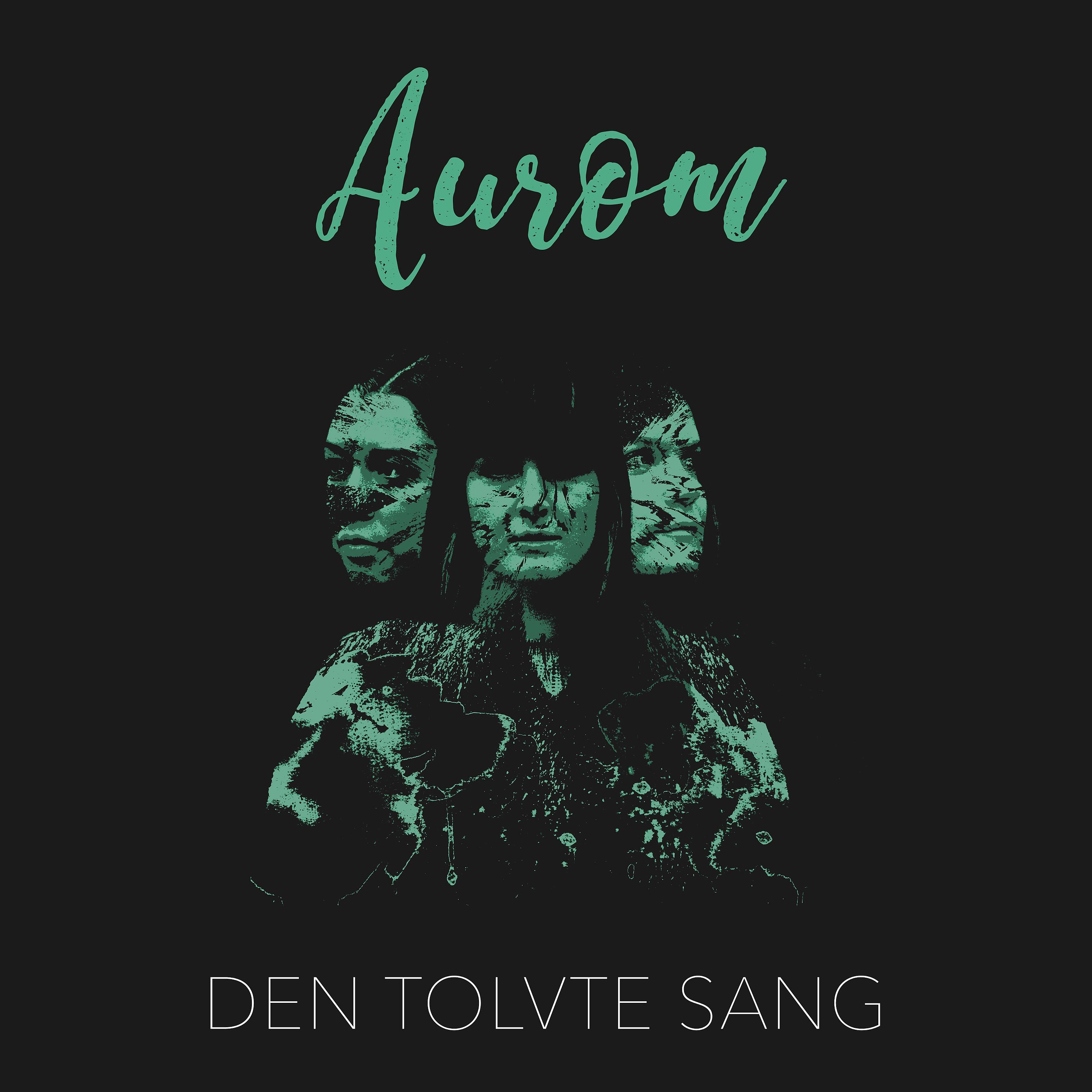 Постер альбома Den Tolvte Sang