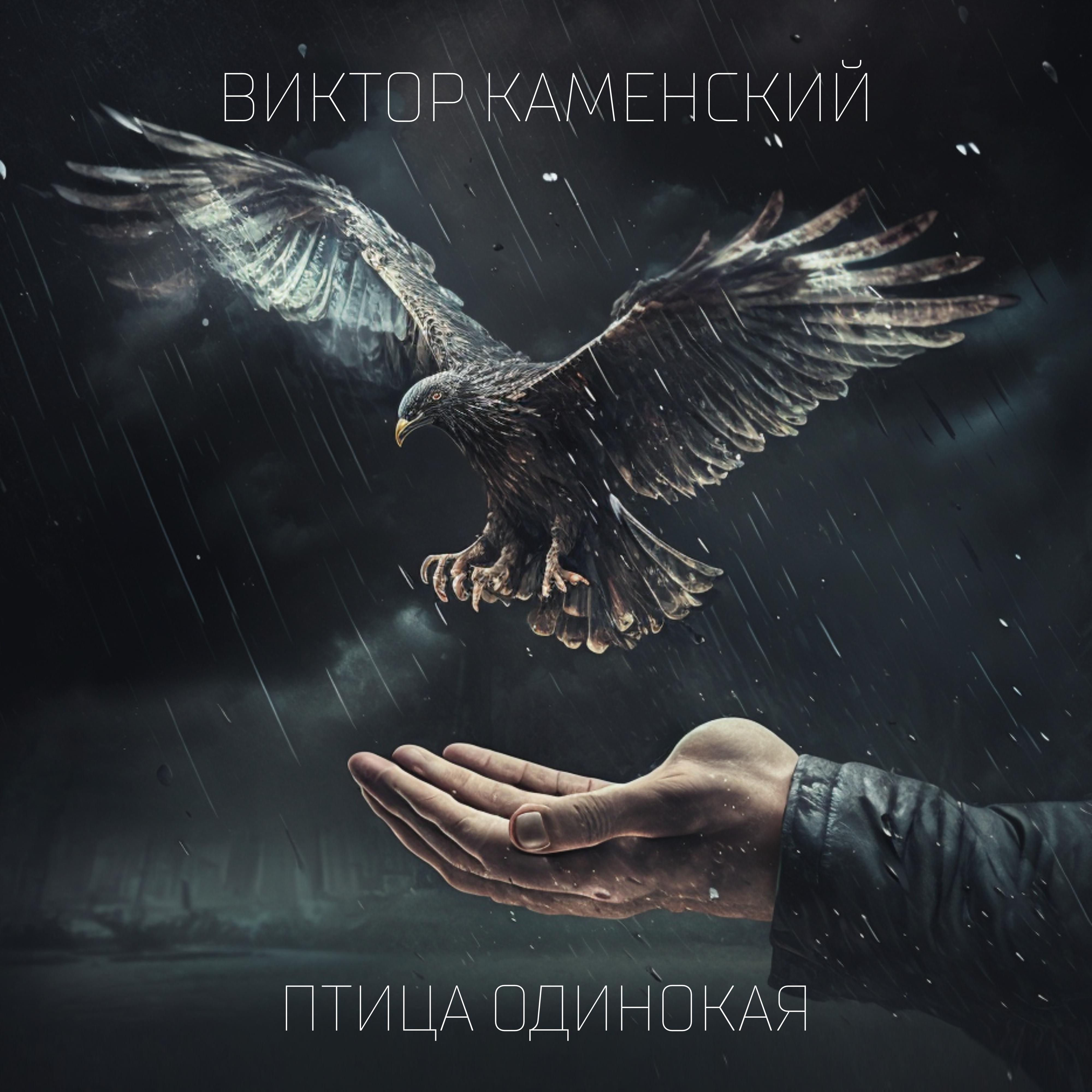 Постер альбома Птица одинокая