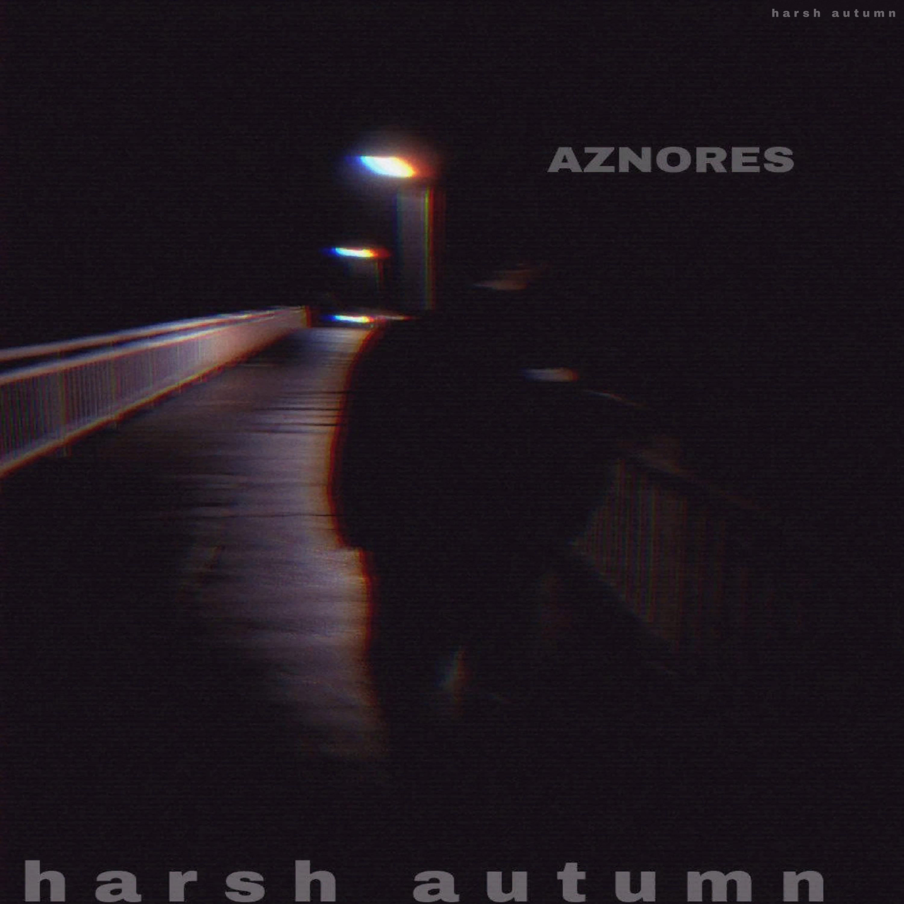 Постер альбома harsh autumn