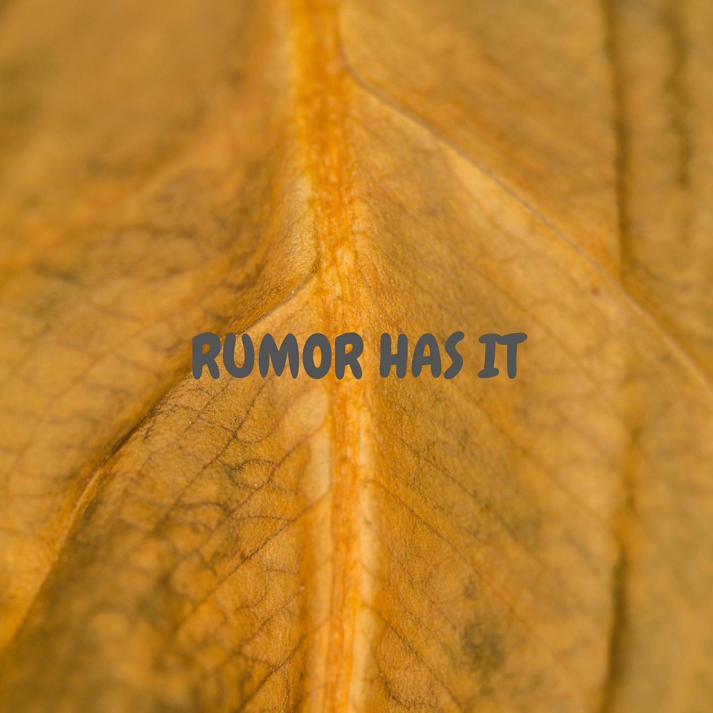 Постер альбома Rumor Has It