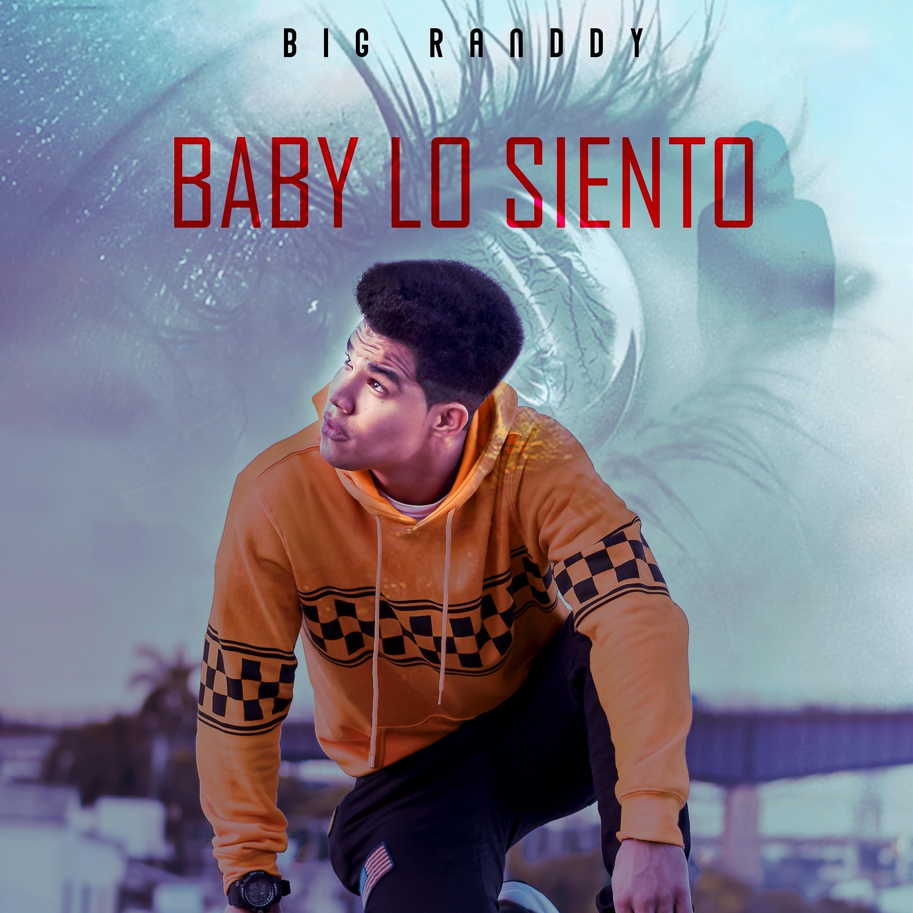 Постер альбома Baby Lo Siento