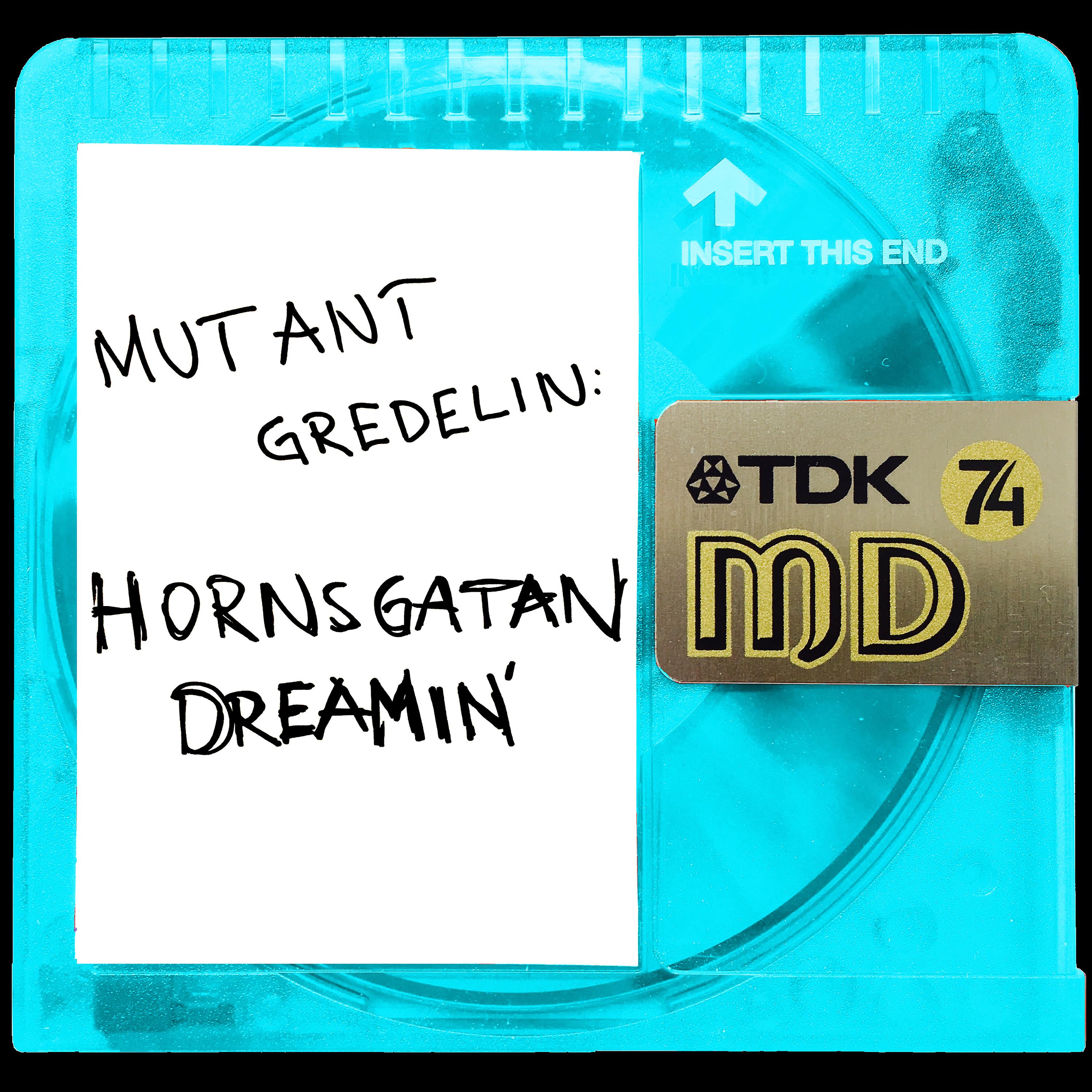Постер альбома Hornsgatan Dreamin'