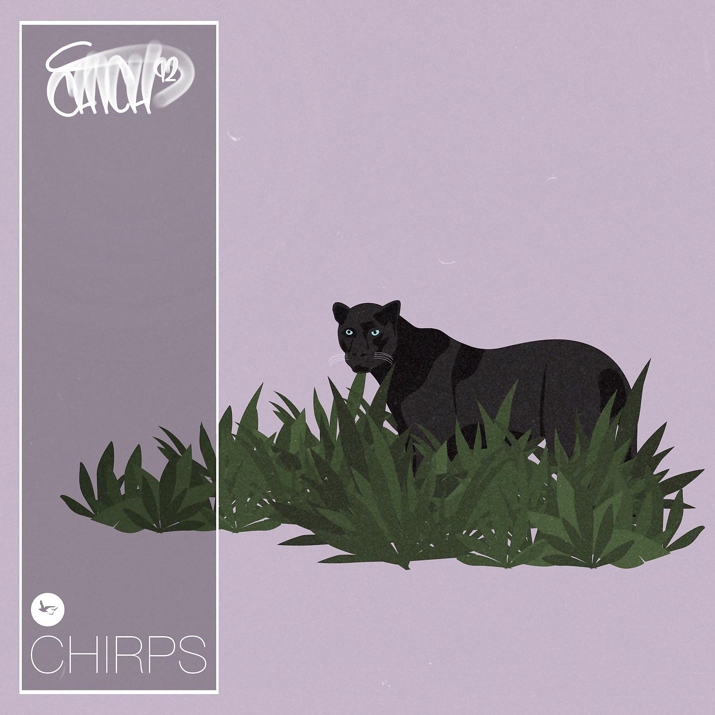 Постер альбома Chirps