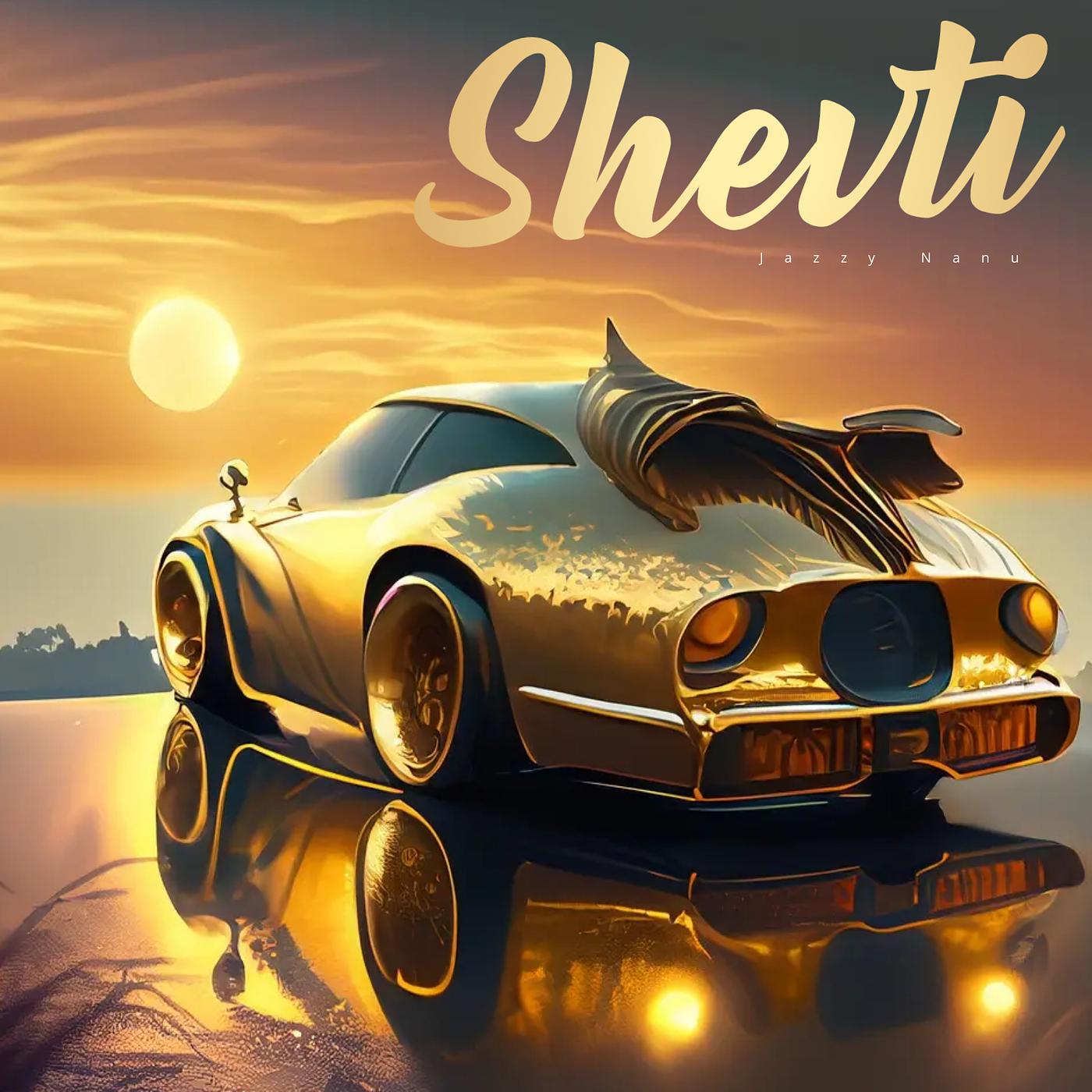 Постер альбома Shevti
