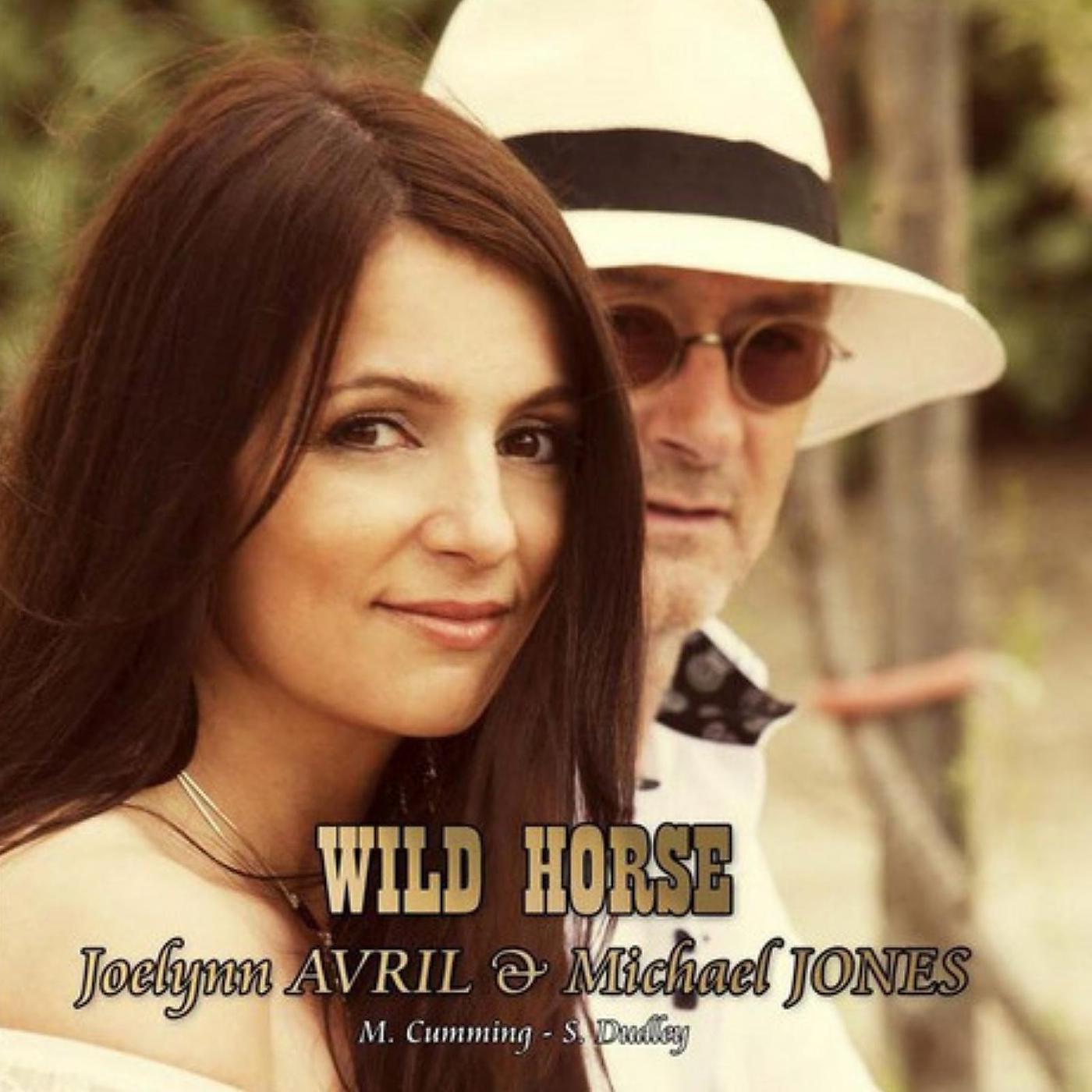 Постер альбома Wild Horse