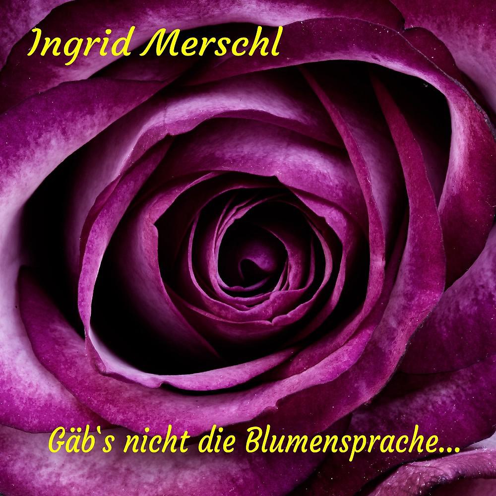 Постер альбома Gäb's nicht die Blumensprache