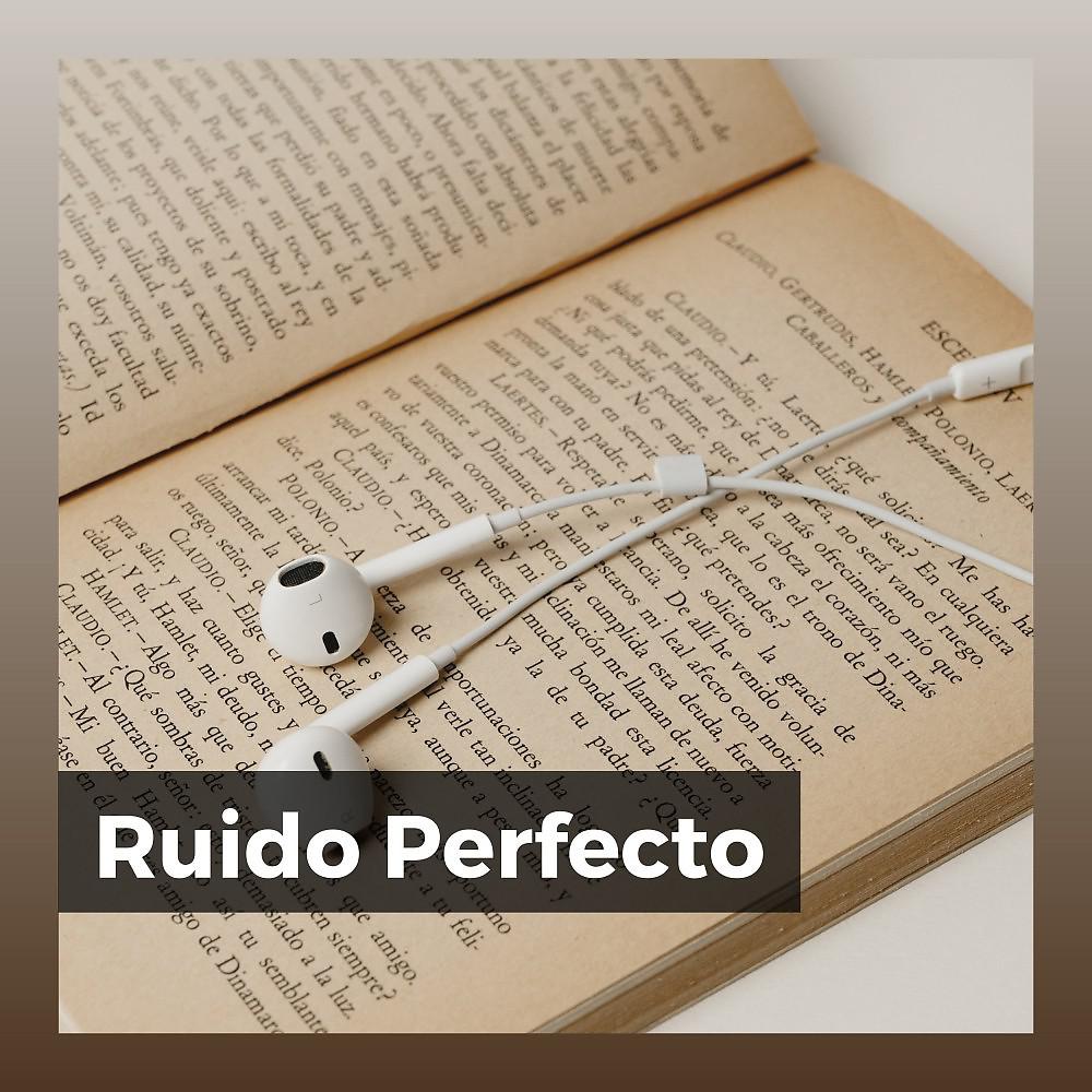Постер альбома Ruido Perfecto