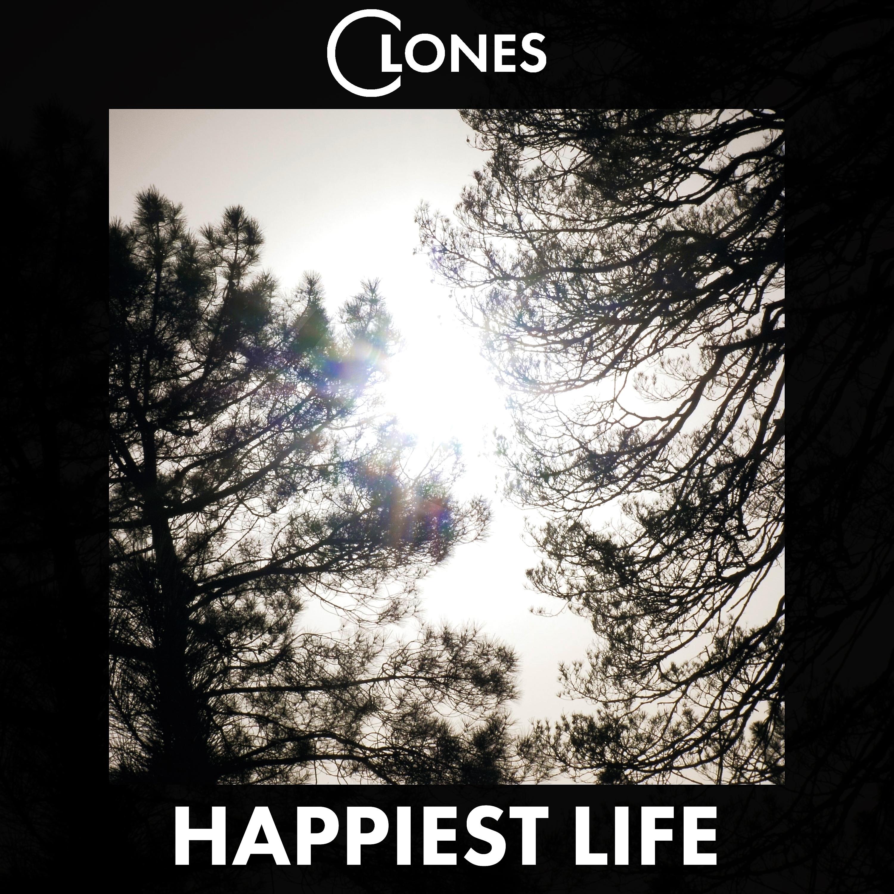 Постер альбома Happiest Life