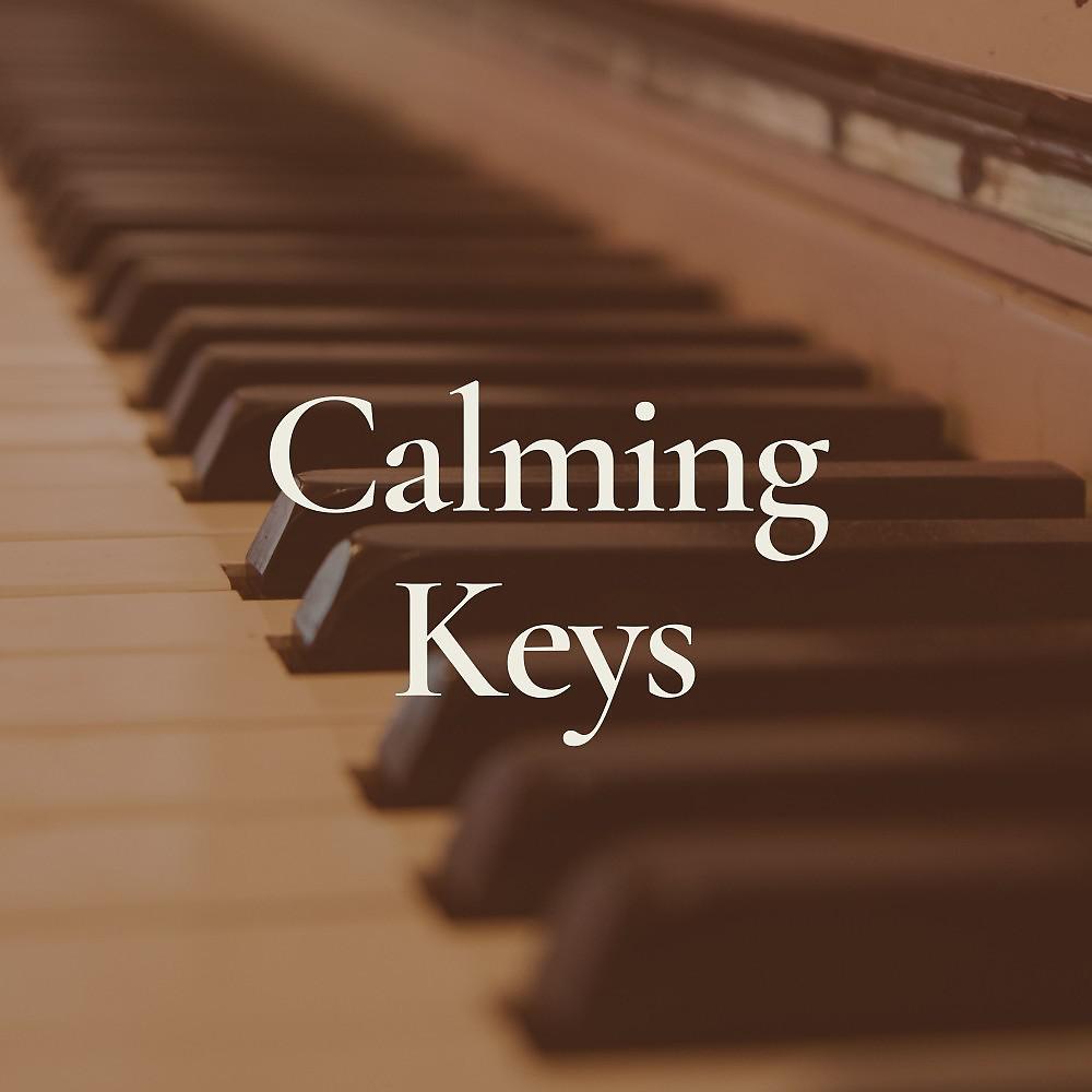Постер альбома Calming Keys