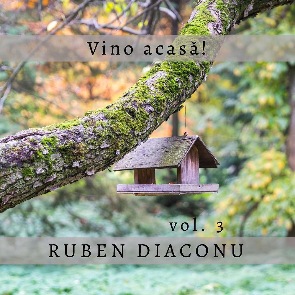 Постер альбома Vino acasă!, Vol. 3