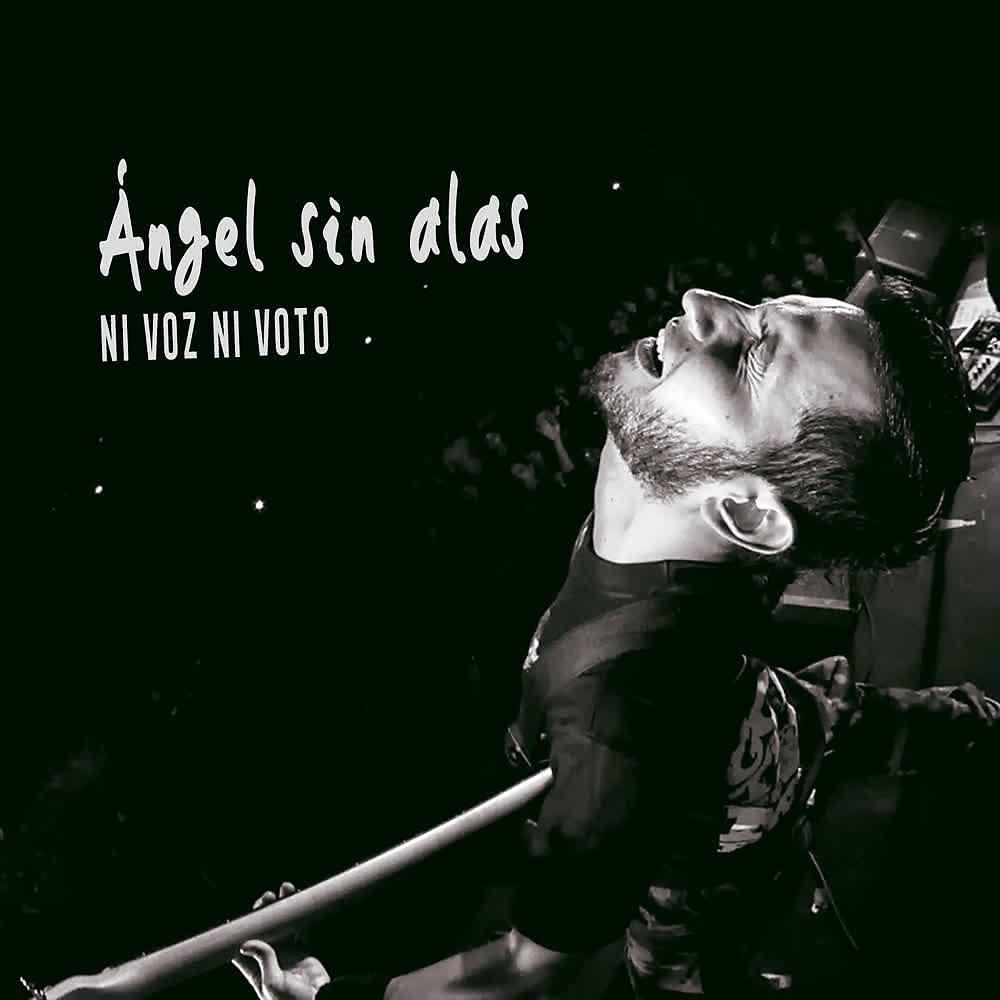 Постер альбома Ángel Sin Alas