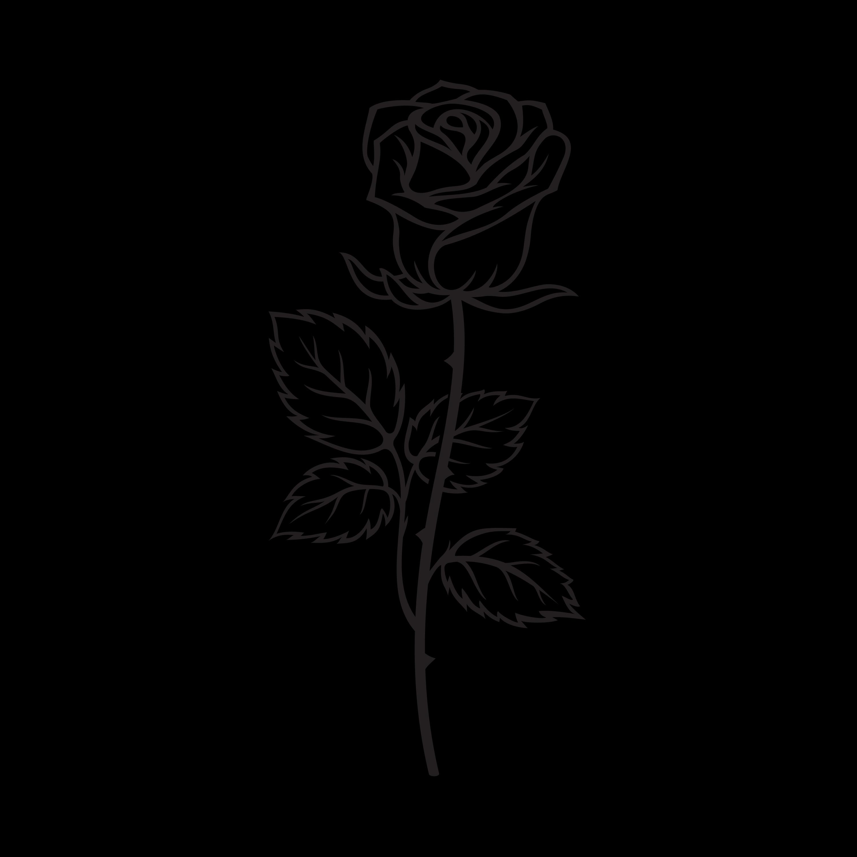 Постер альбома Rosa Negra