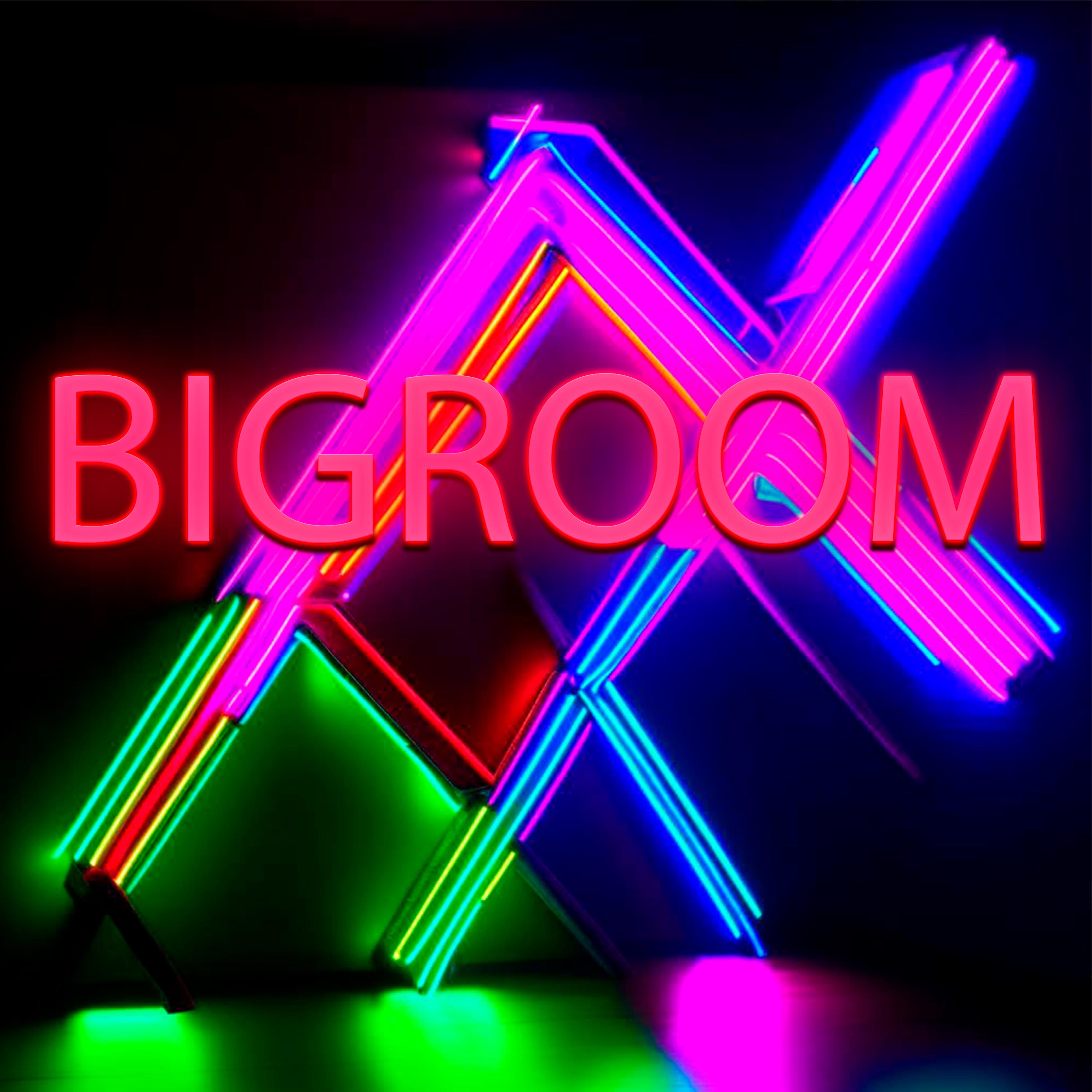Постер альбома Bigroom