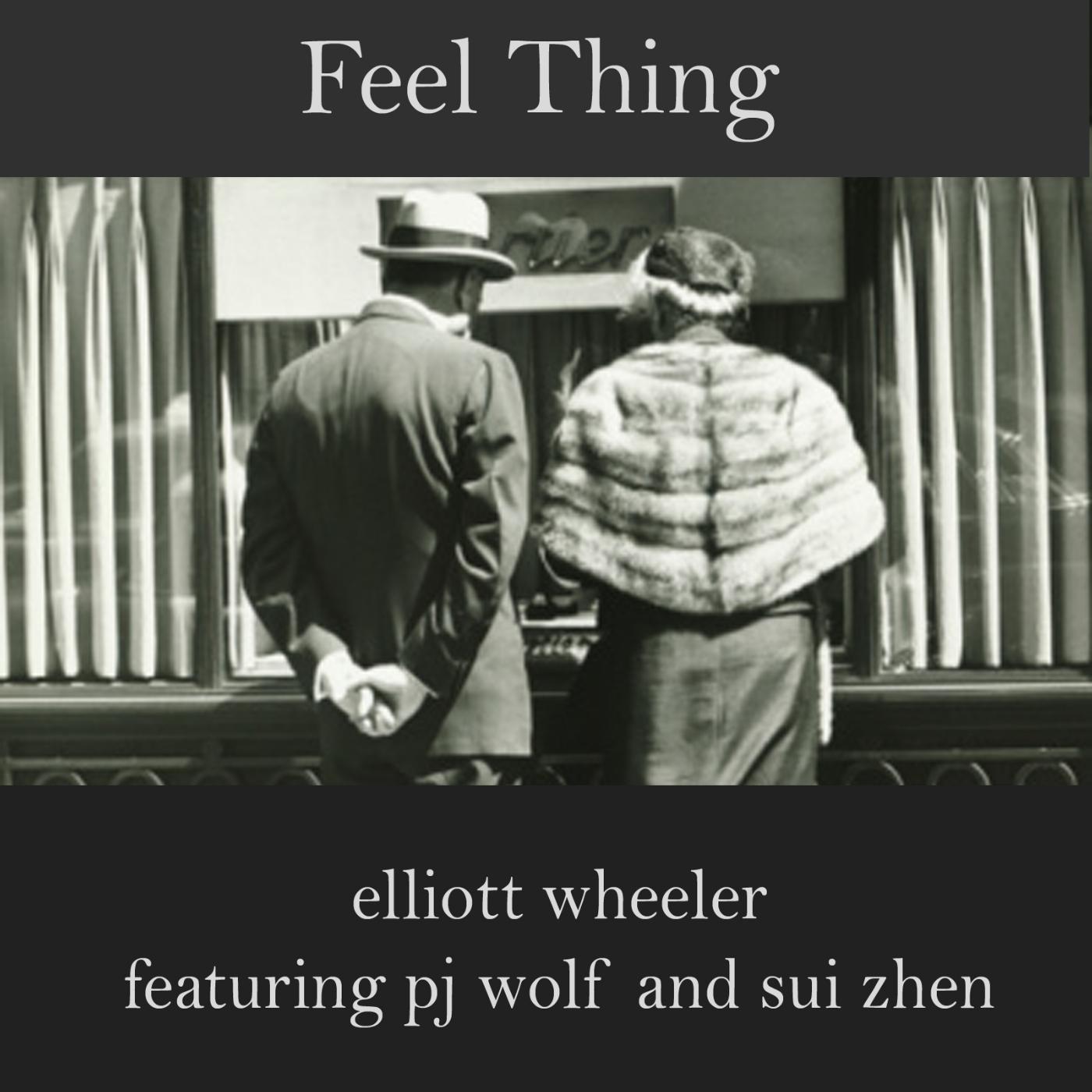Постер альбома Feel Thing (feat. Pj Wolf & Sui Zhen)