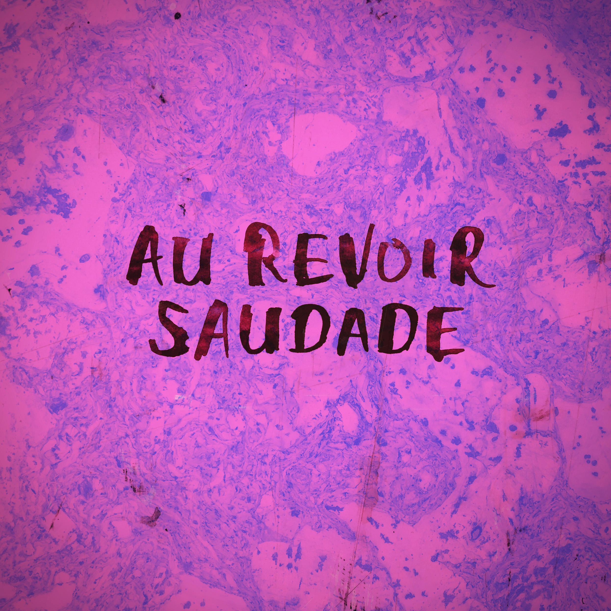 Постер альбома Au Revoir Saudade