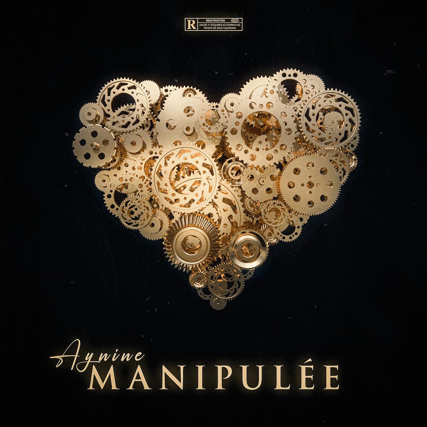 Постер альбома Manipulée