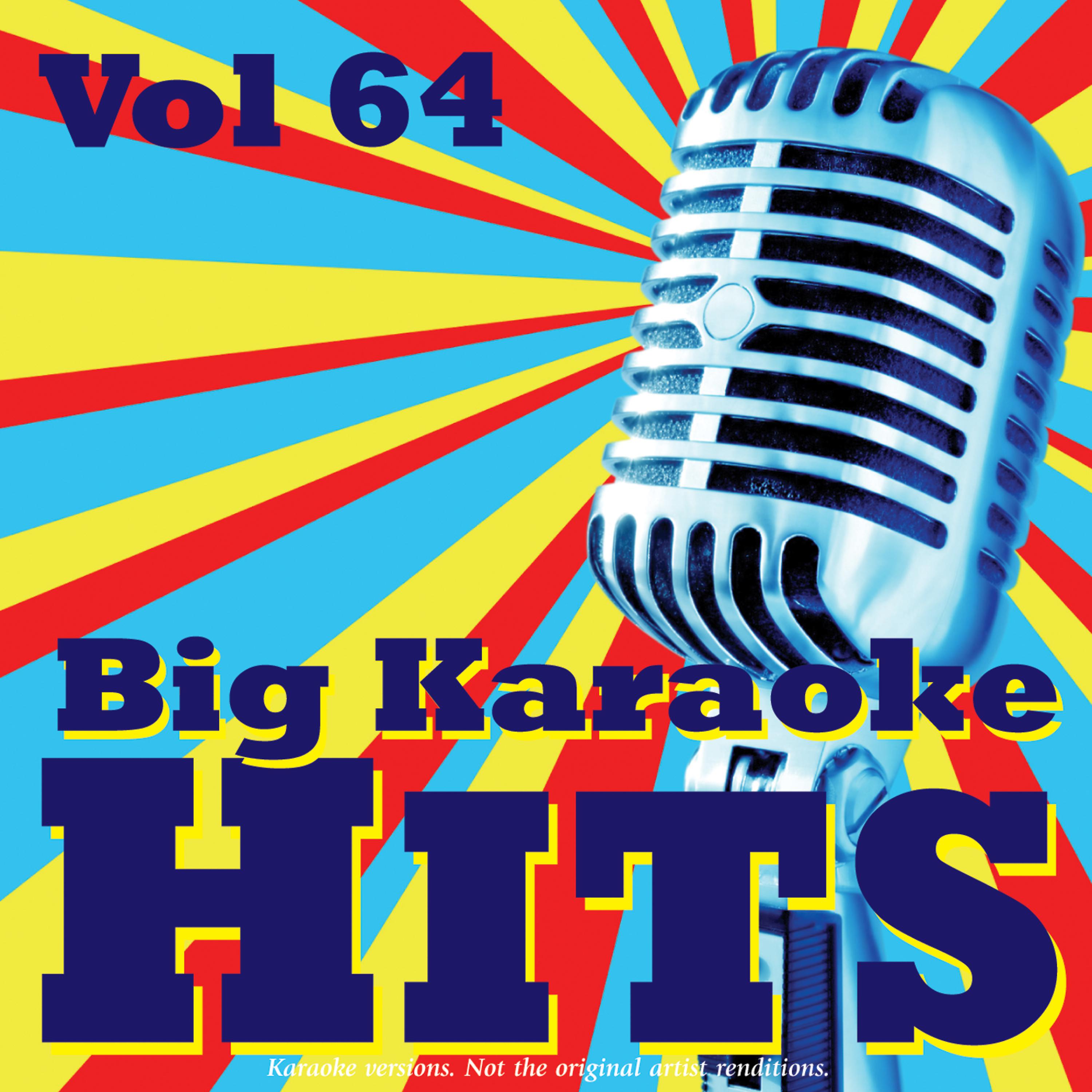Постер альбома Big Karaoke Hits Vol.64