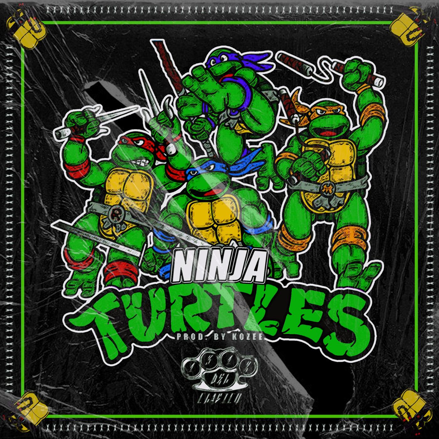 Постер альбома Ninja Turtles
