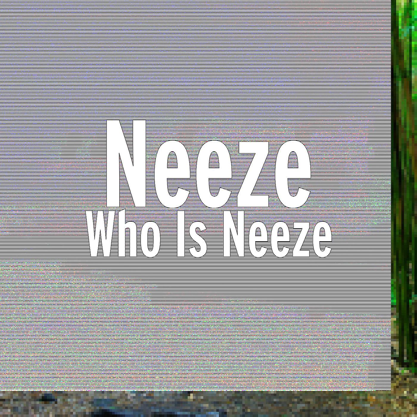 Постер альбома Who Is Neeze